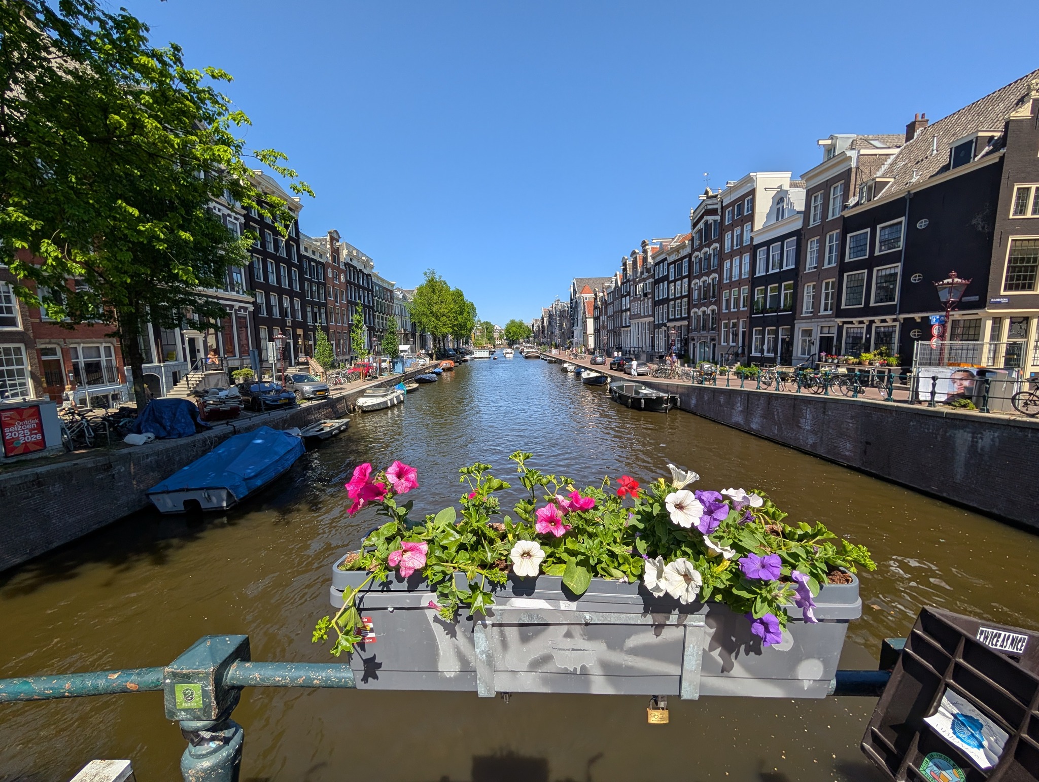 Canal flowers Amsterdam