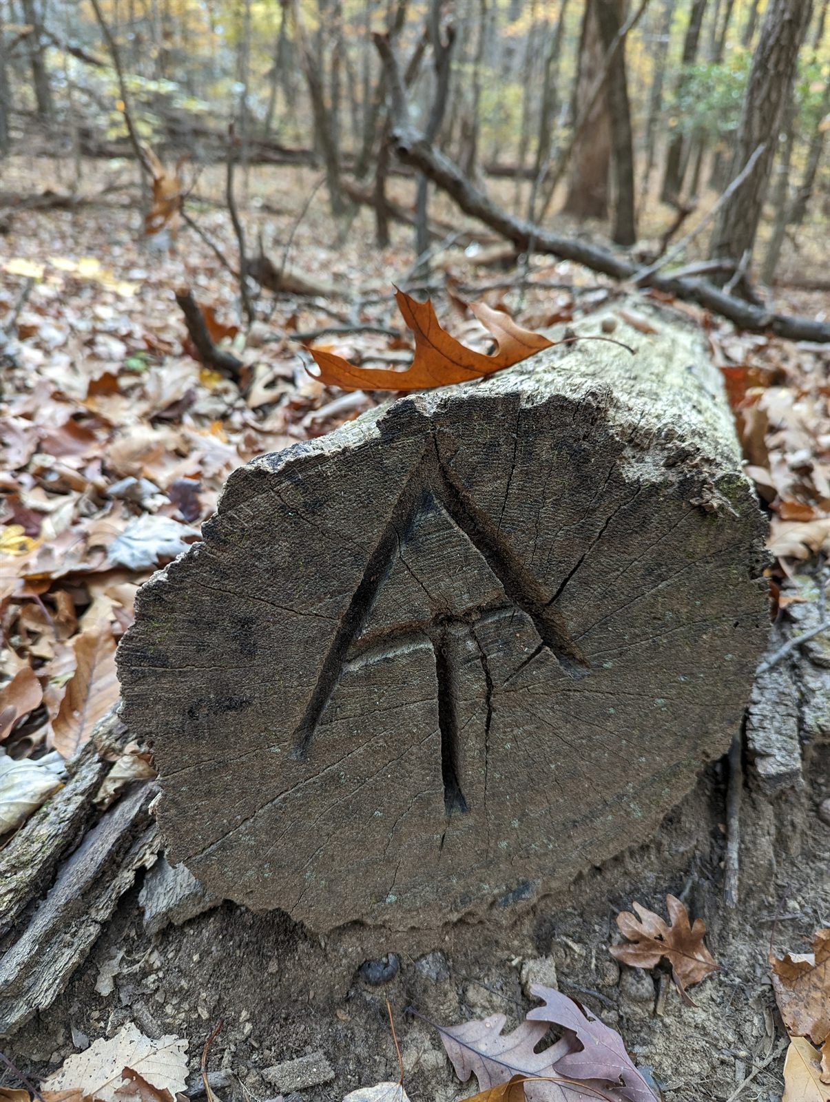 The Appalachian Trail diamond emblem on a wooden post