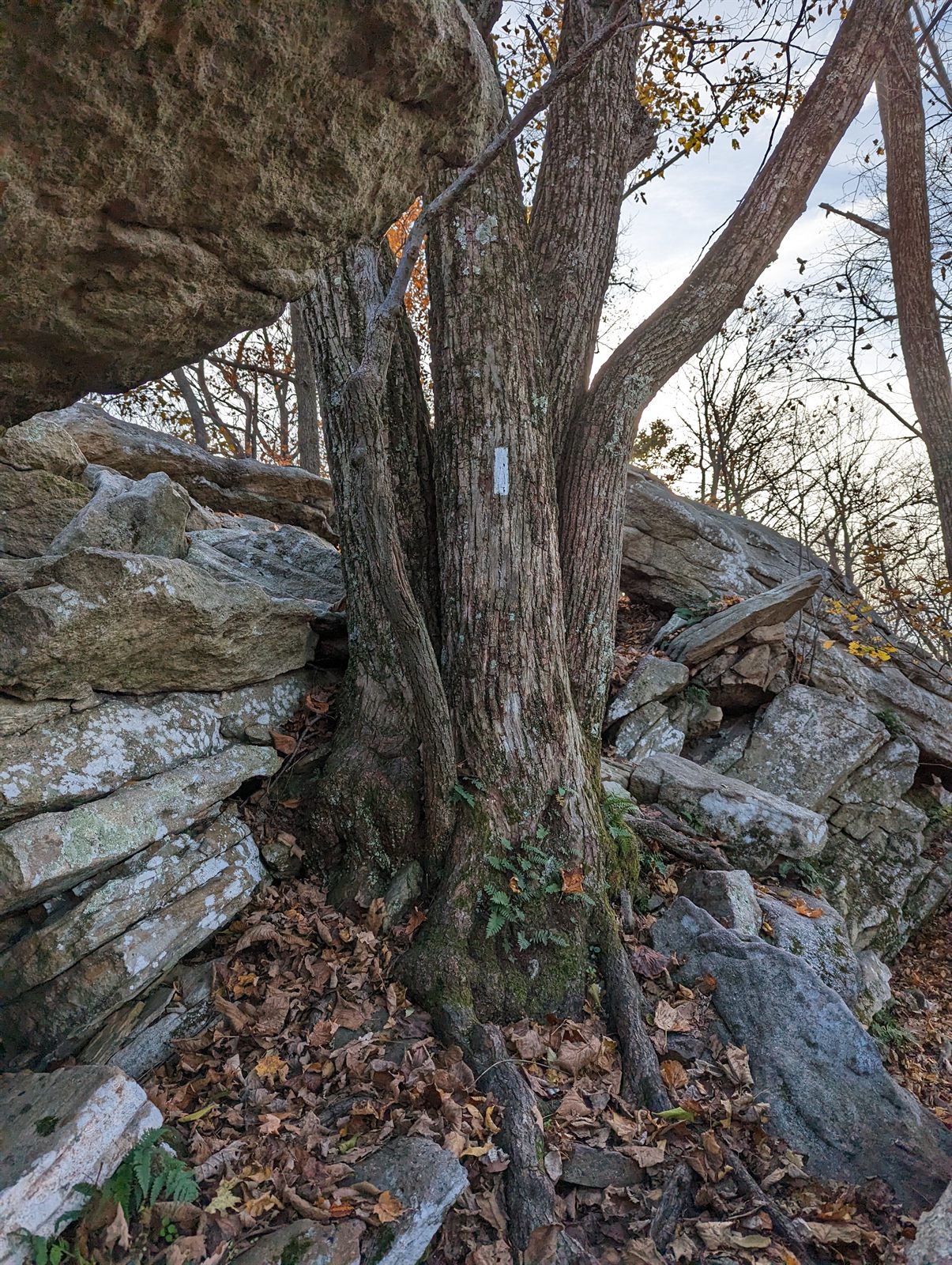 A white blaze painted on rock along a rocky section of the Appalachian Trail