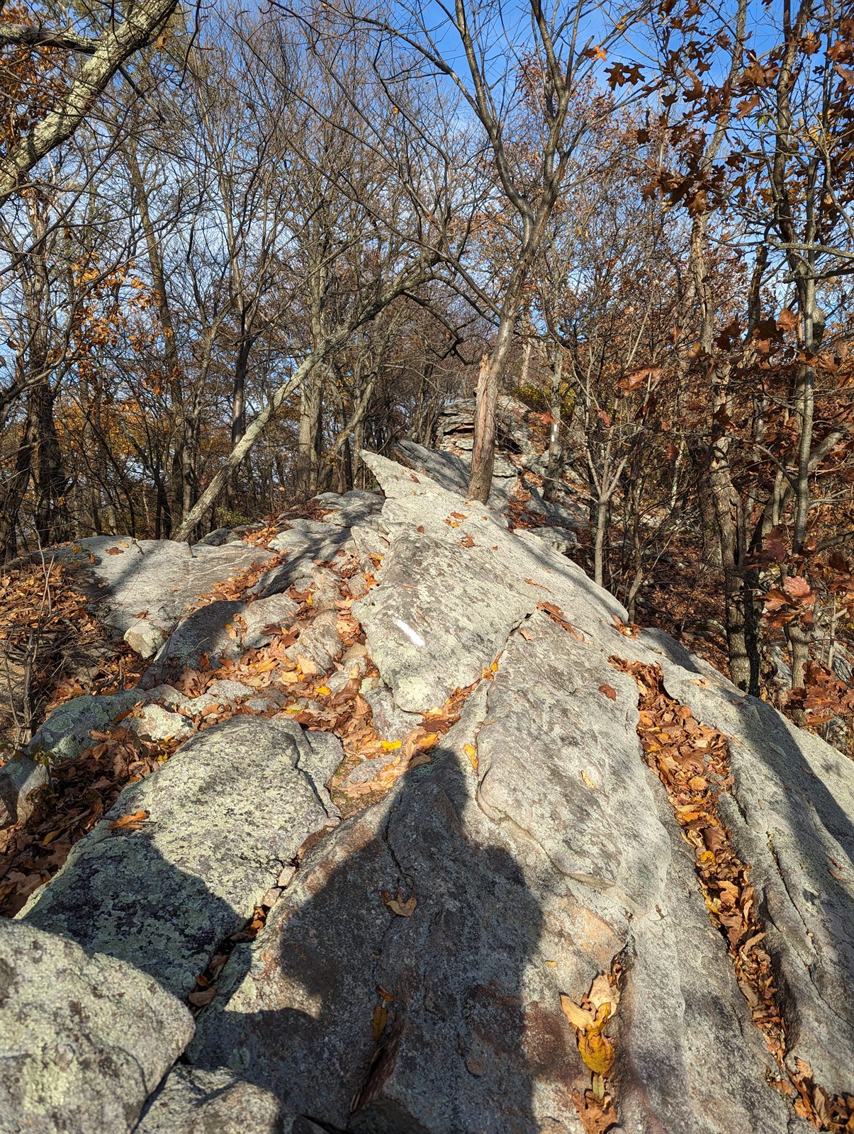 Rocky section of the Appalachian Trail in Pennsylvania