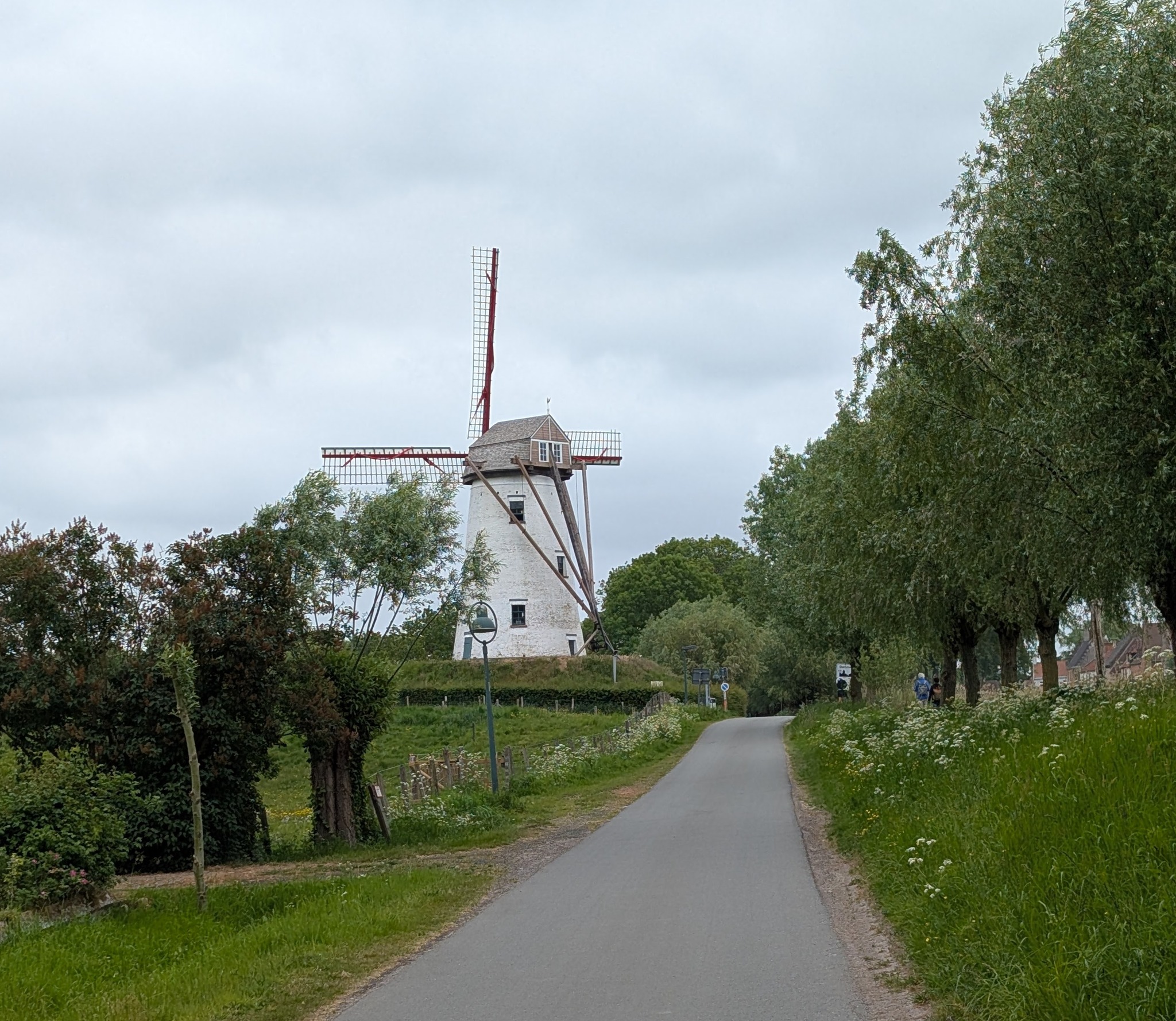 Windmill along bike path