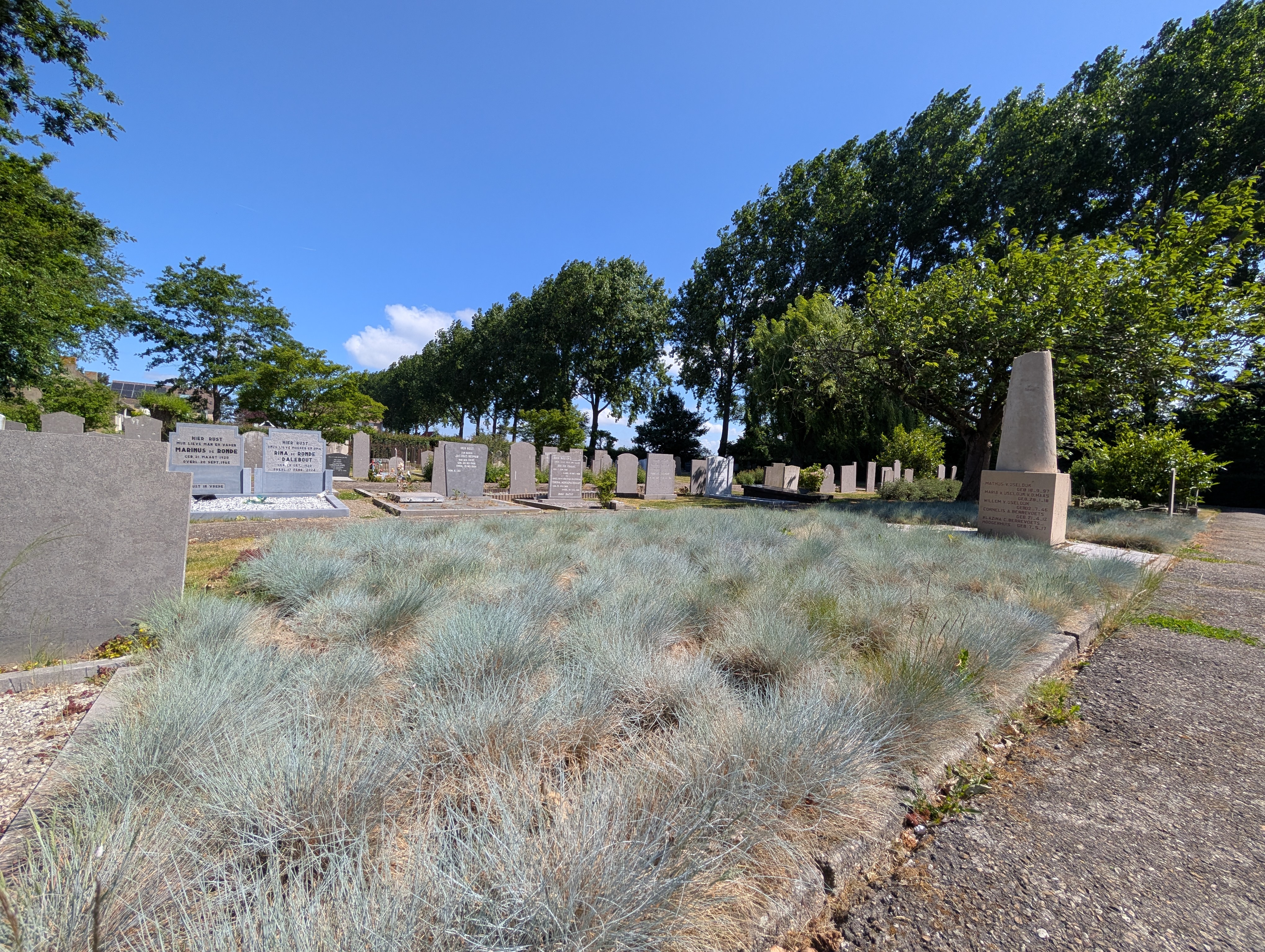 Dutch cemetery in Klaaswaal