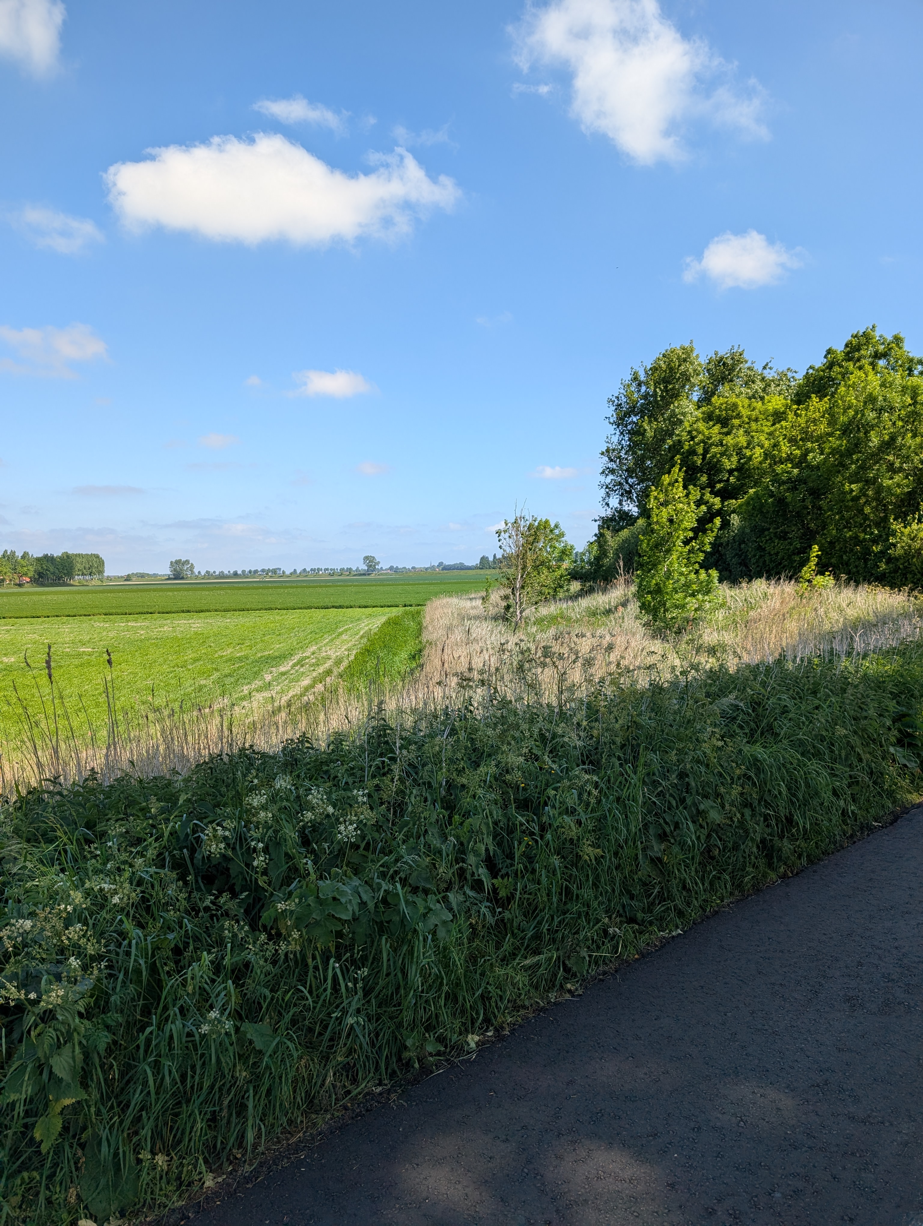 Green farm fields along bike path
