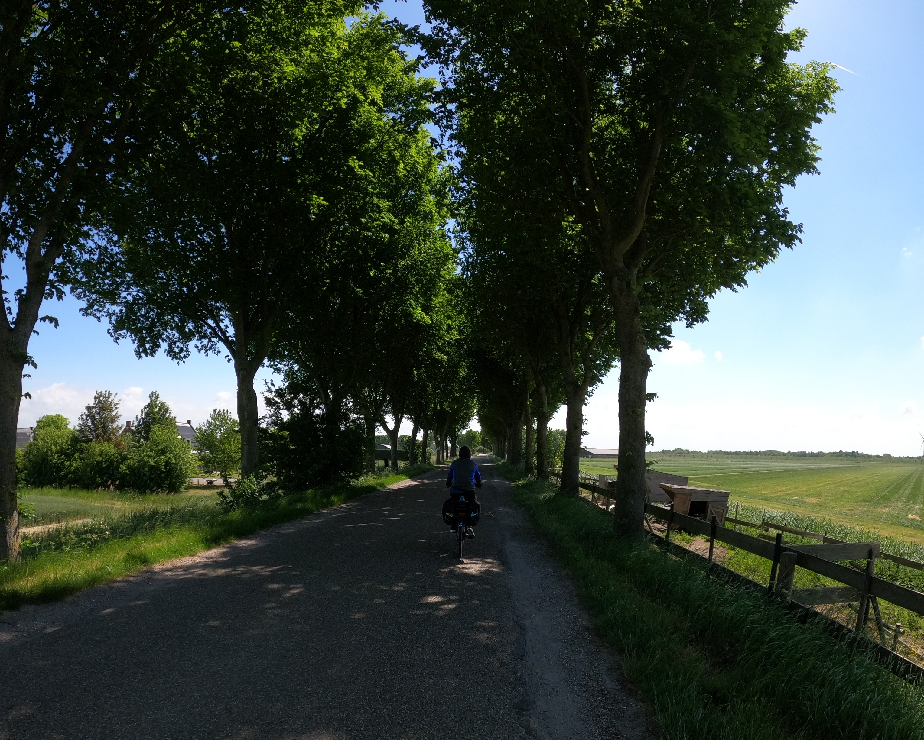 Kari cycling through tree-lined lane
