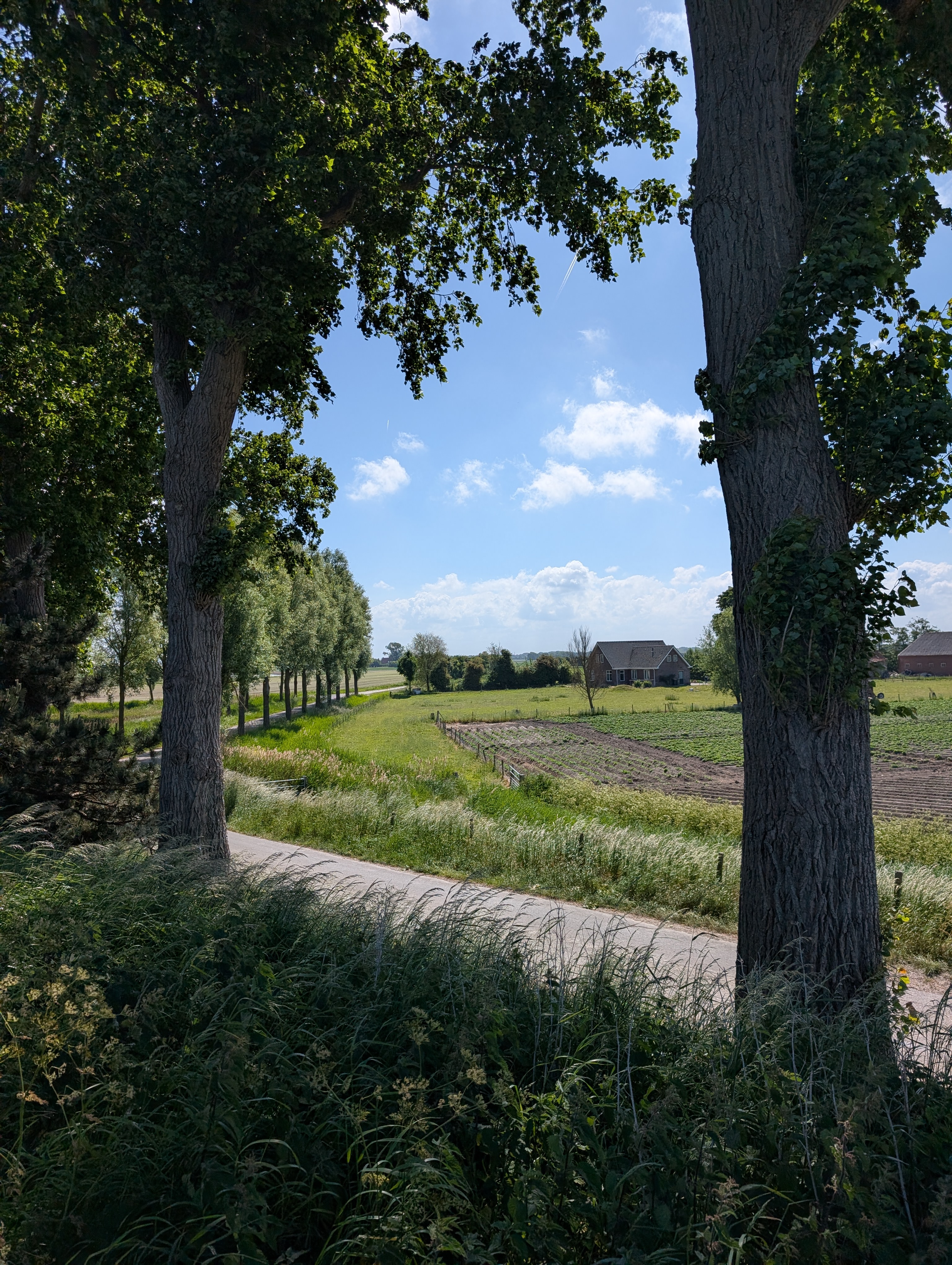 Farm fields with wind turbines