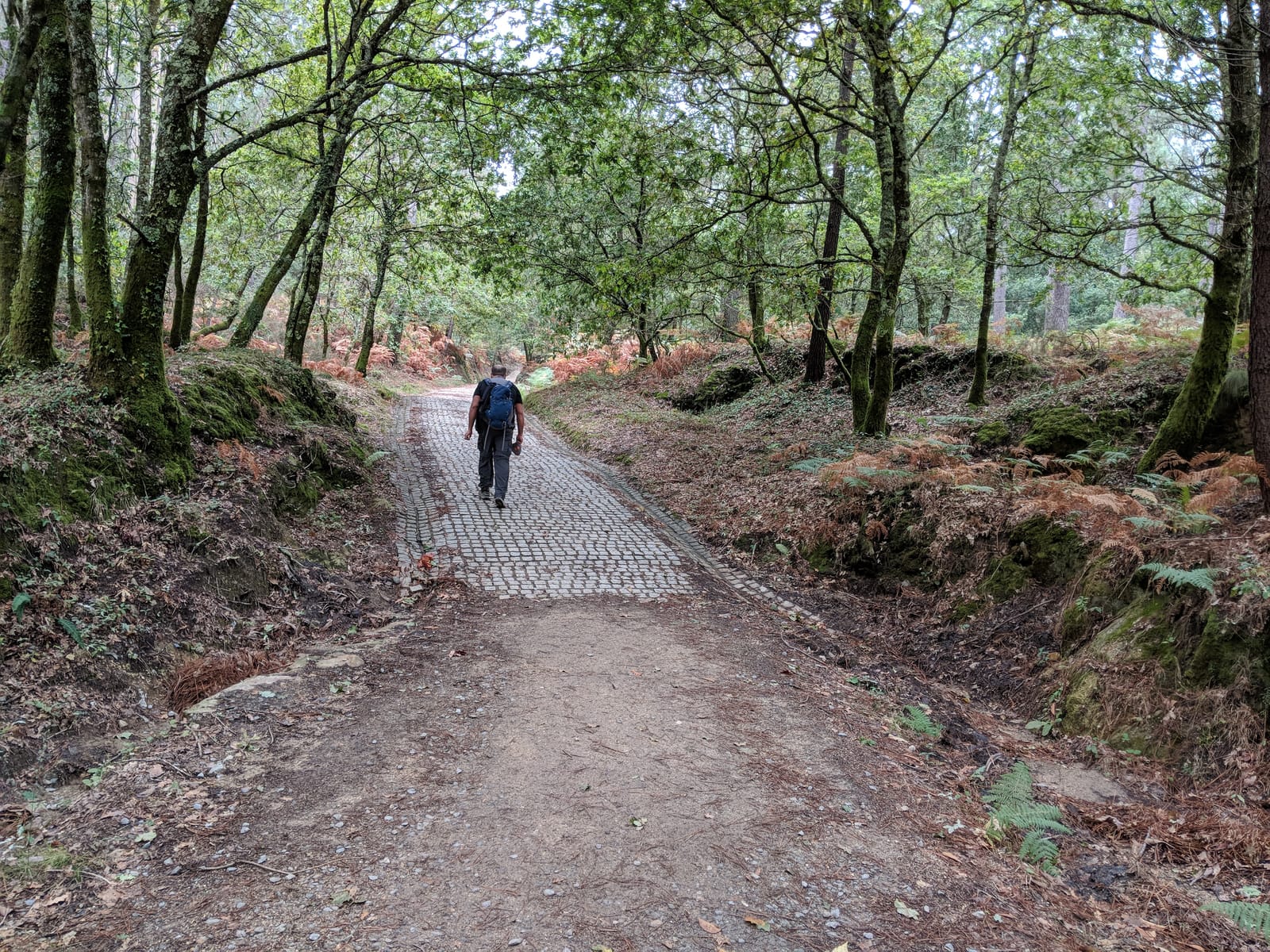 Doug on a cobblestone path through the woods