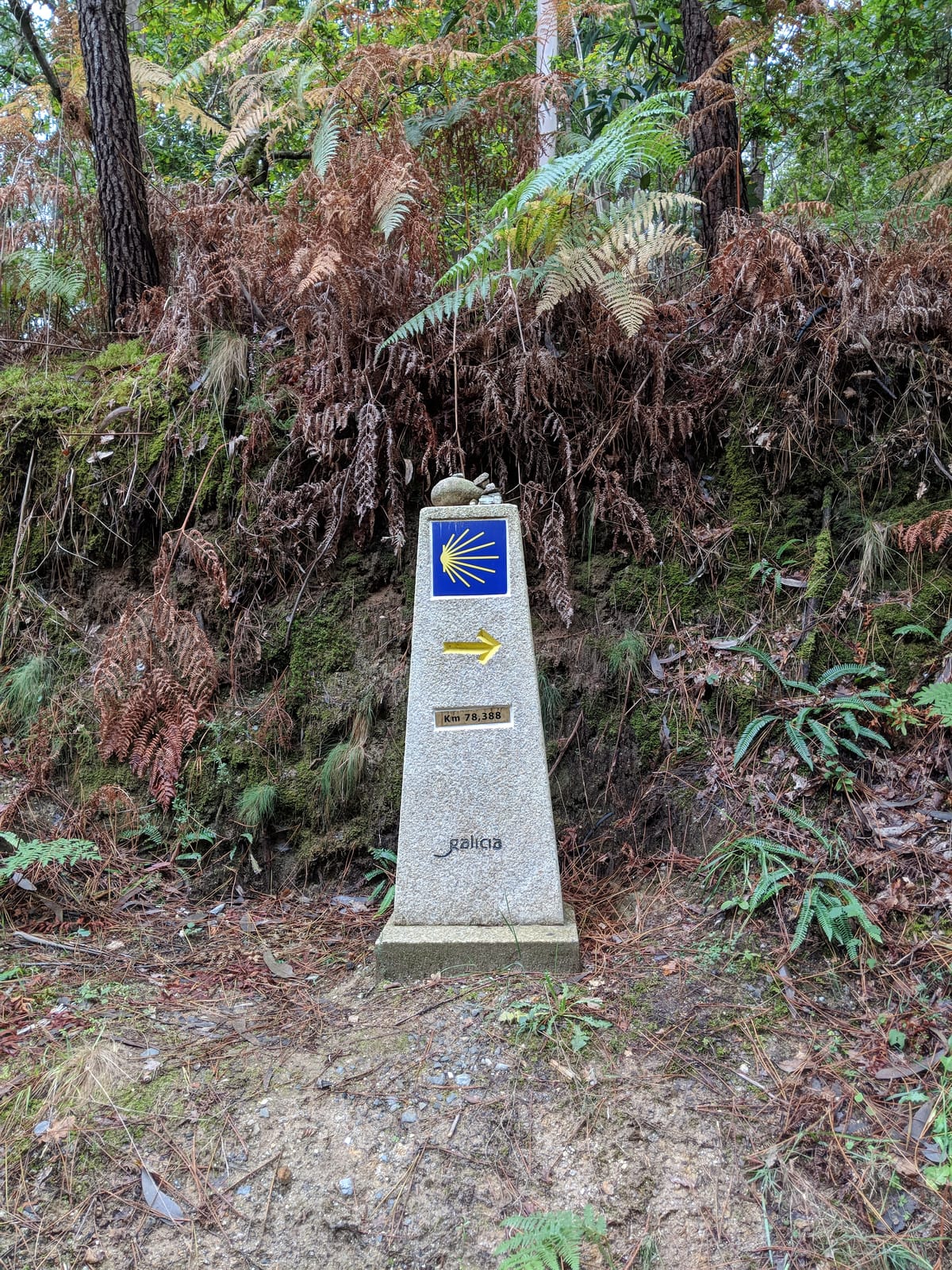 A Camino waymarker stone with the yellow scallop shell and arrow