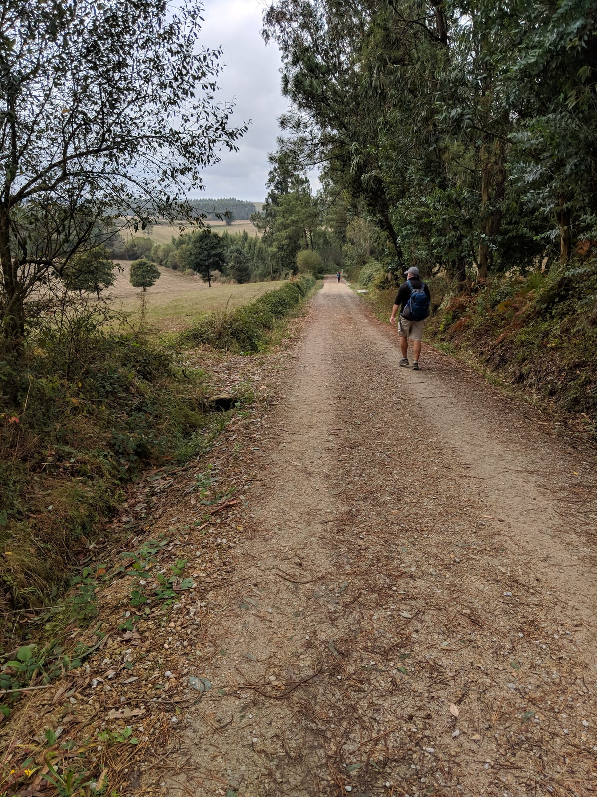 A gravel Camino path running through rolling green countryside