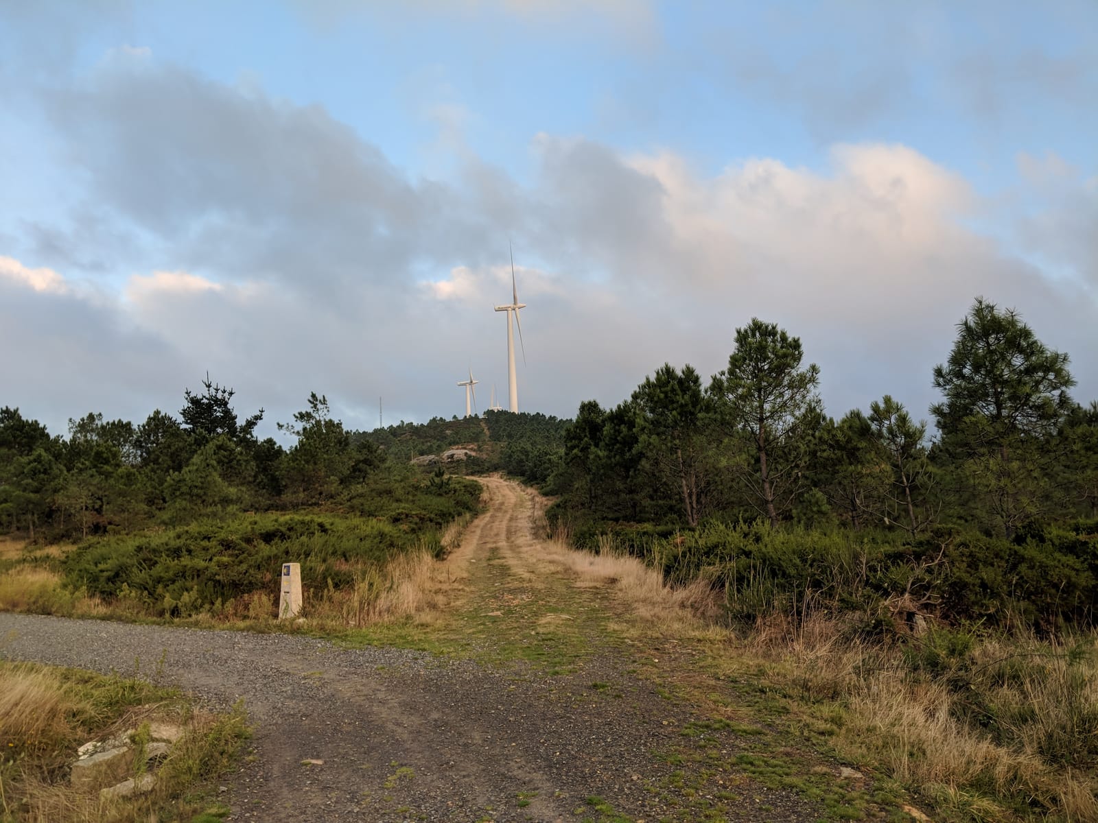 Gravel path toward a ridge of wind turbines at dawn