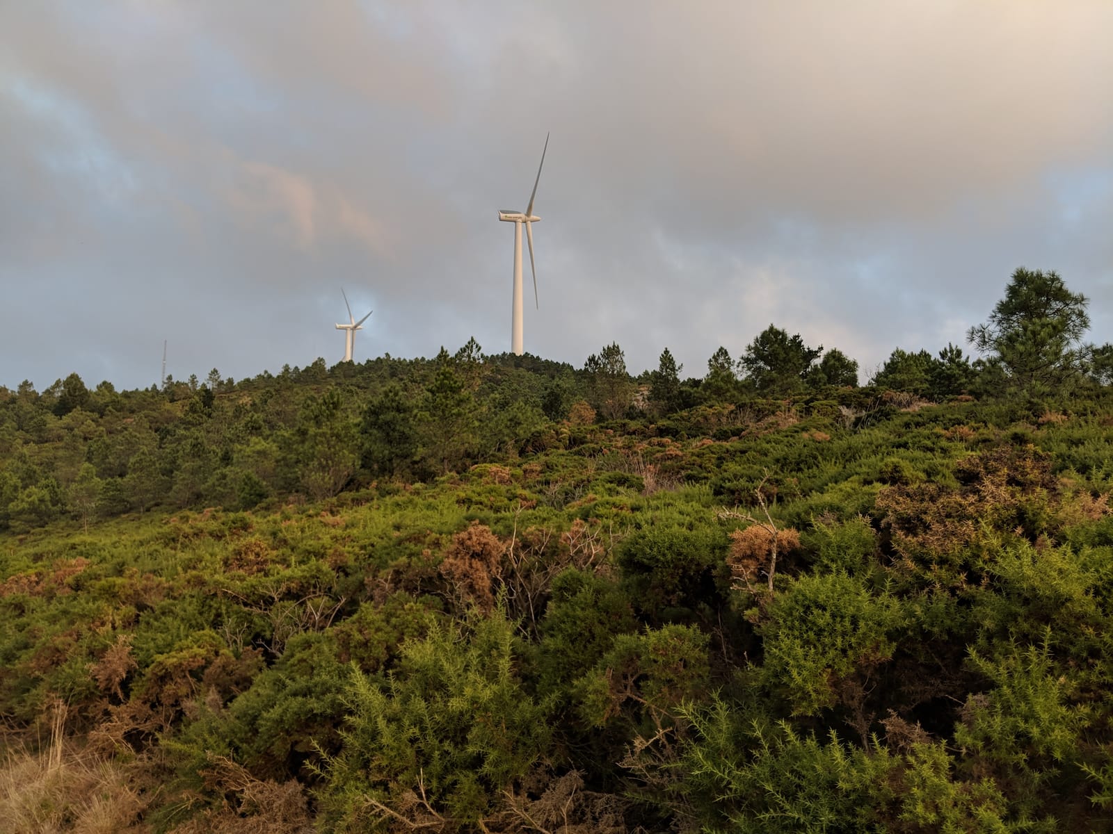 Wind turbines on a scrubby ridge under a moody morning sky