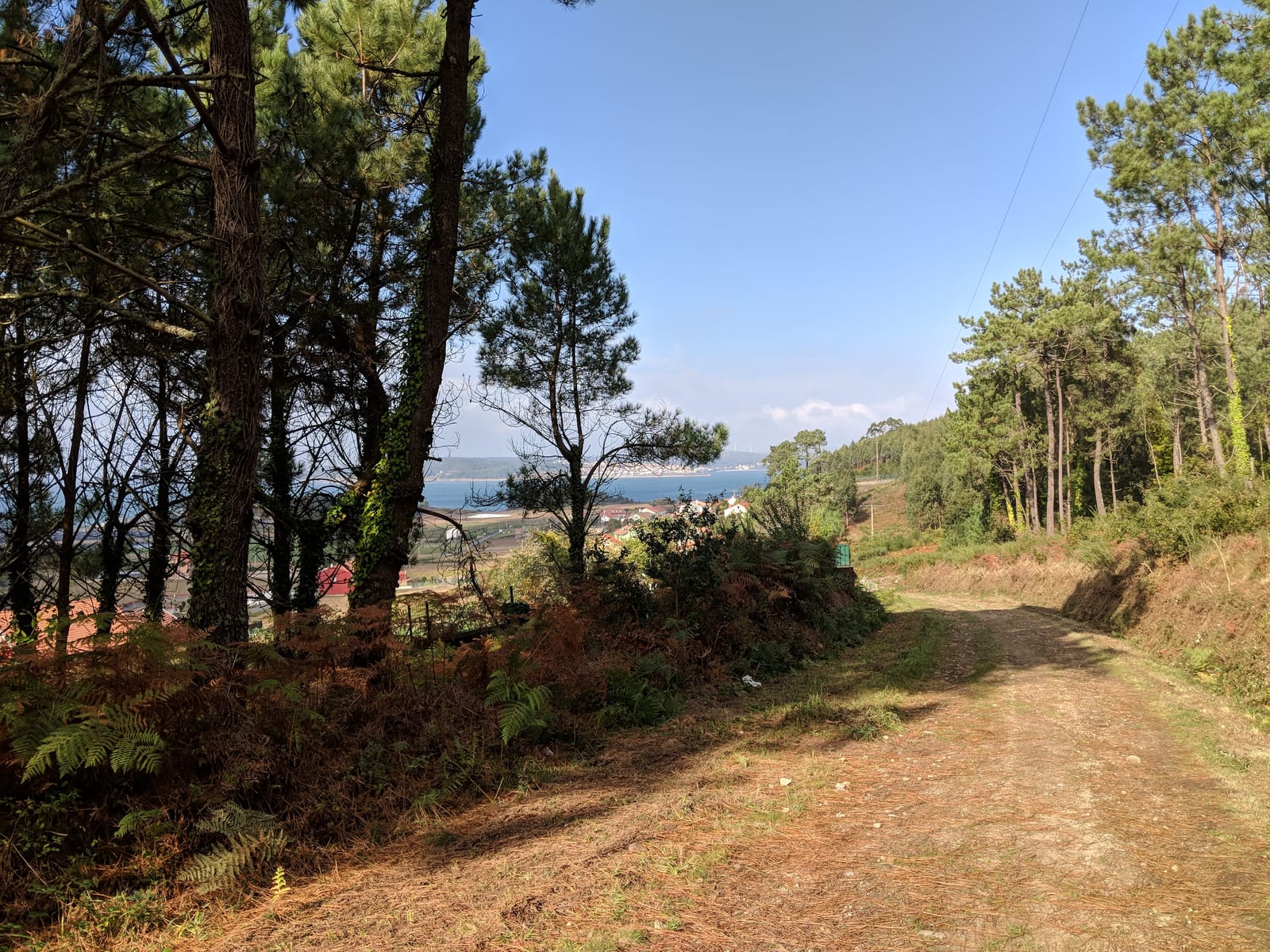 First view of the Atlantic and the ría beyond the pine woods on the descent to Muxía