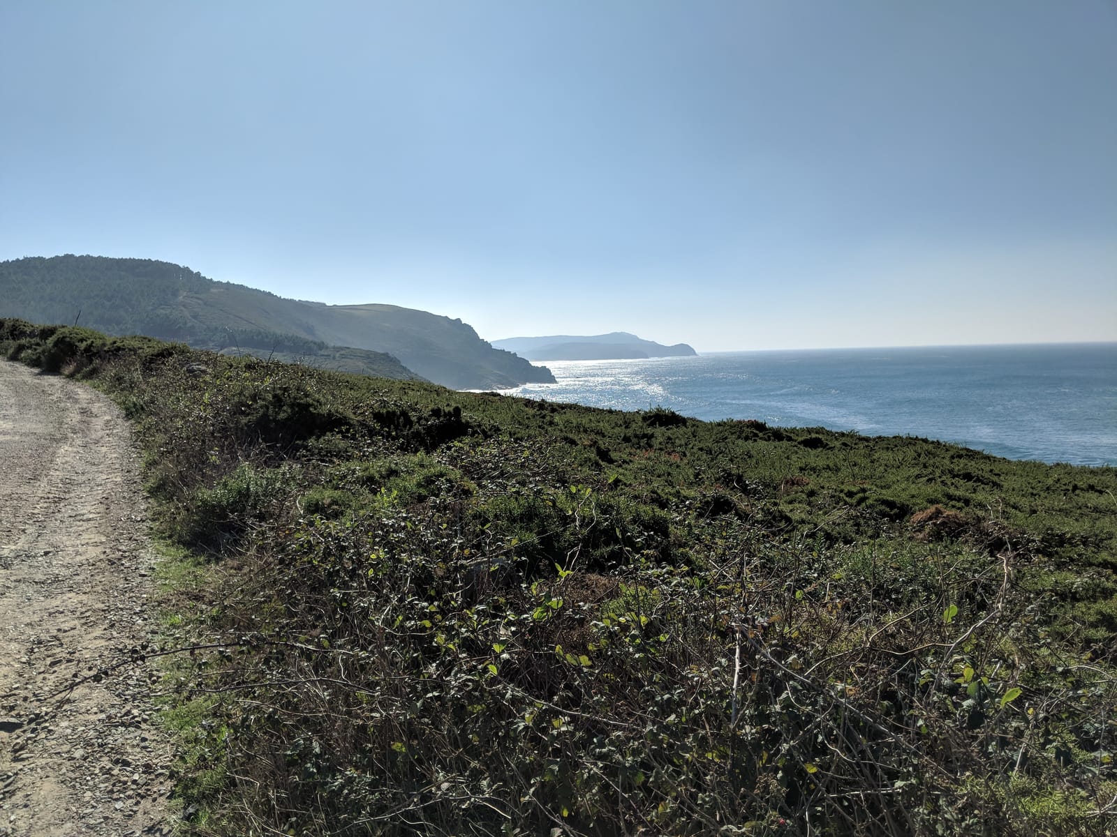 Clifftop coastal path with gorse and sunlit sea
