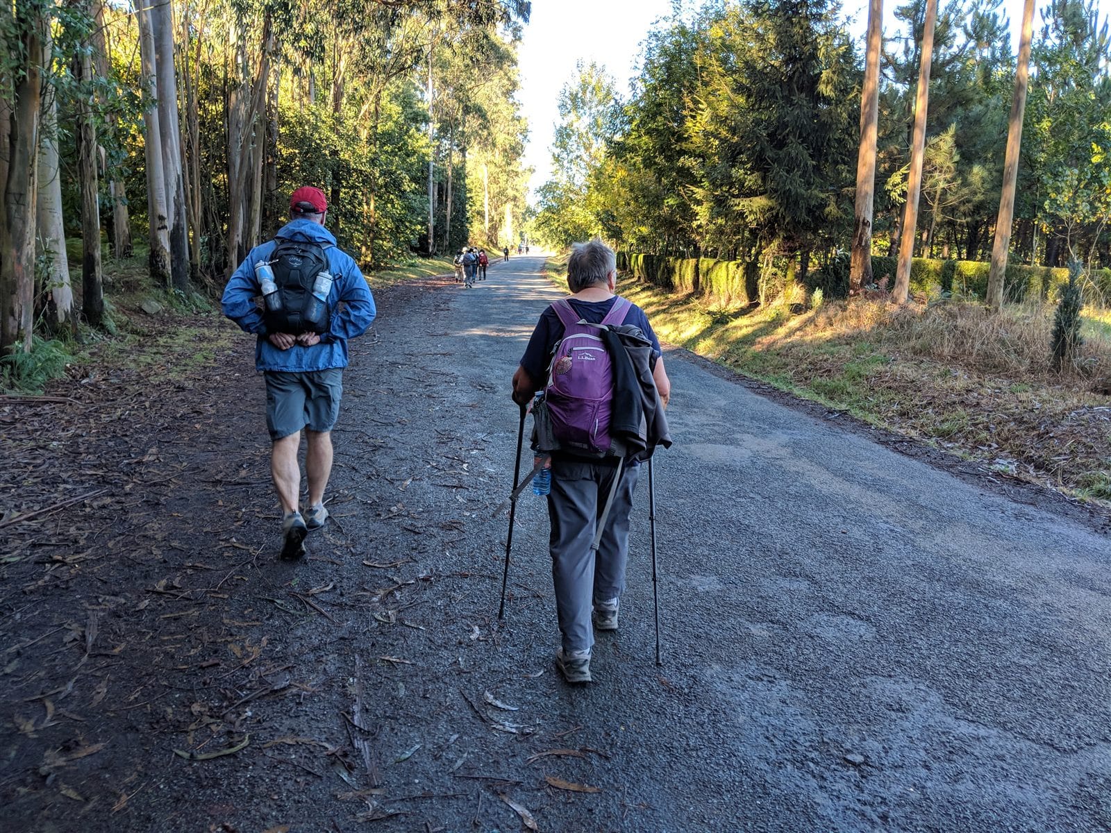 Mike walking the Camino alongside his mom
