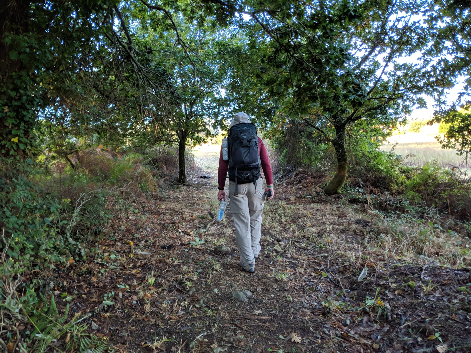 Doug on a dirt woodland trail under oak trees in the morning light