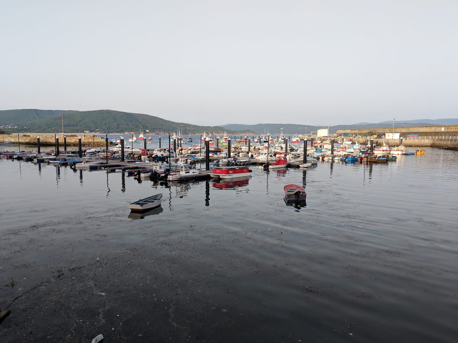 Finisterre's fishing harbor in the evening, boats moored on calm water with green hills beyond