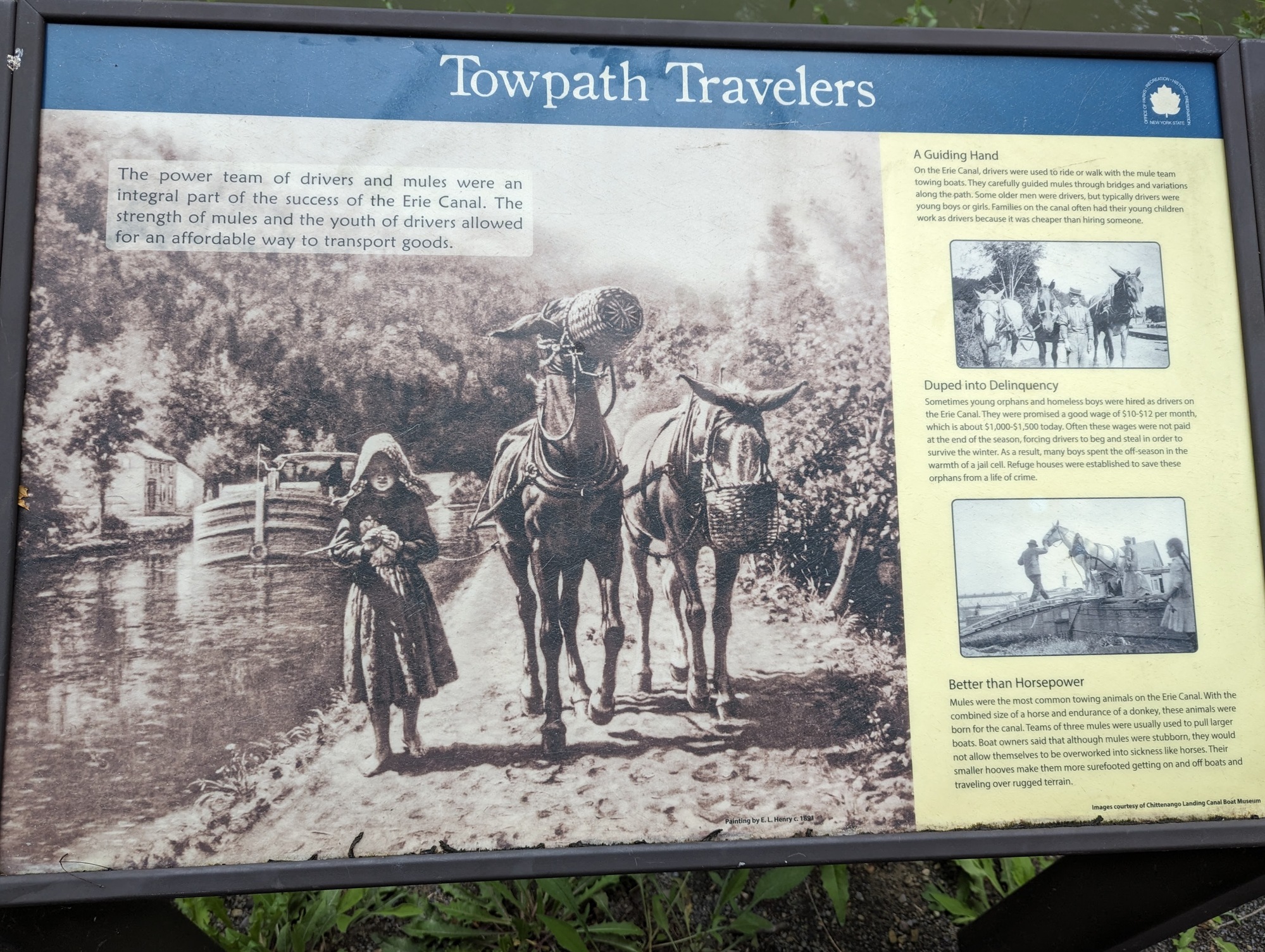 One of the historical signs along the path — Mules rule!