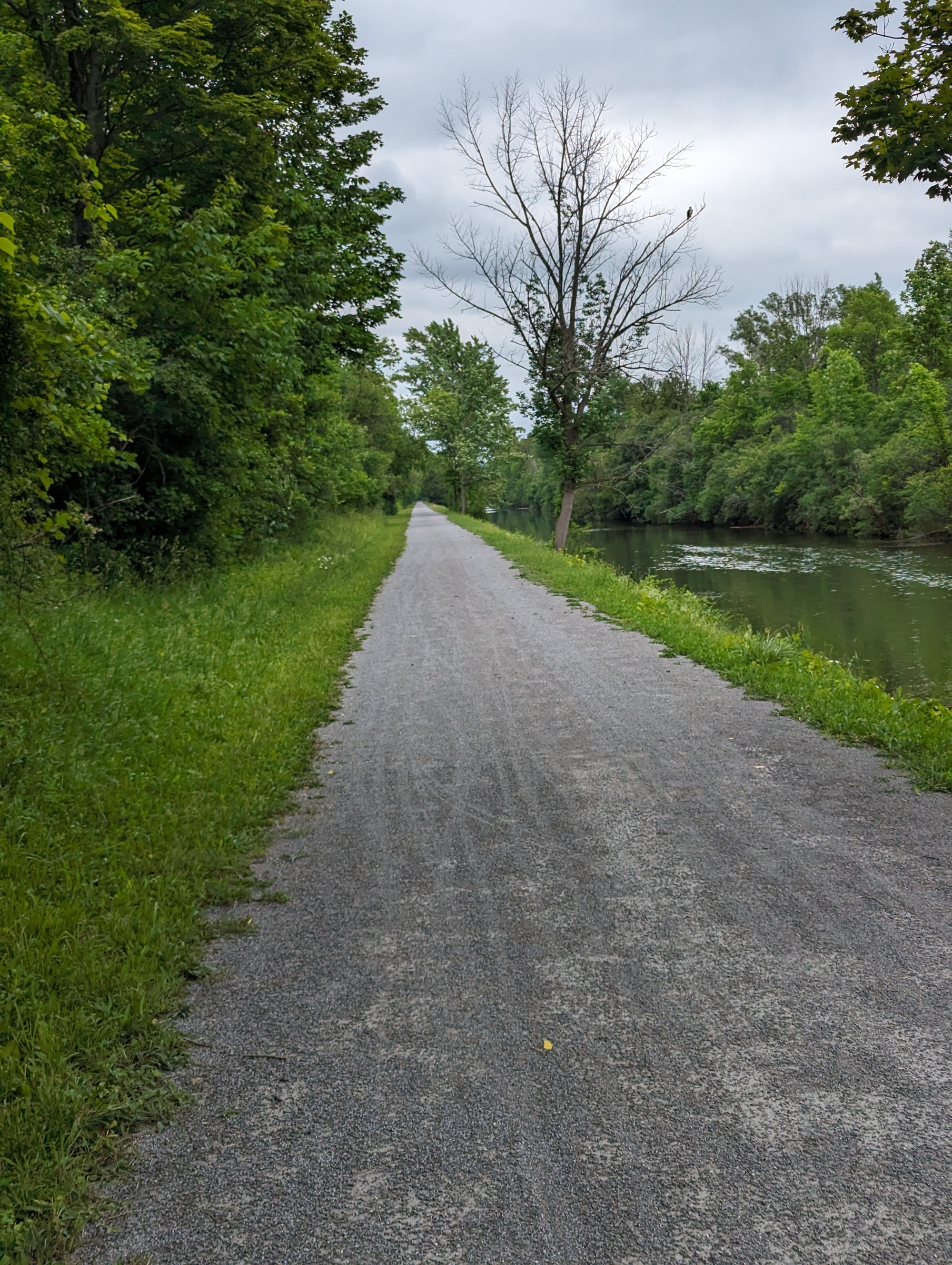 Excellent gravel riding