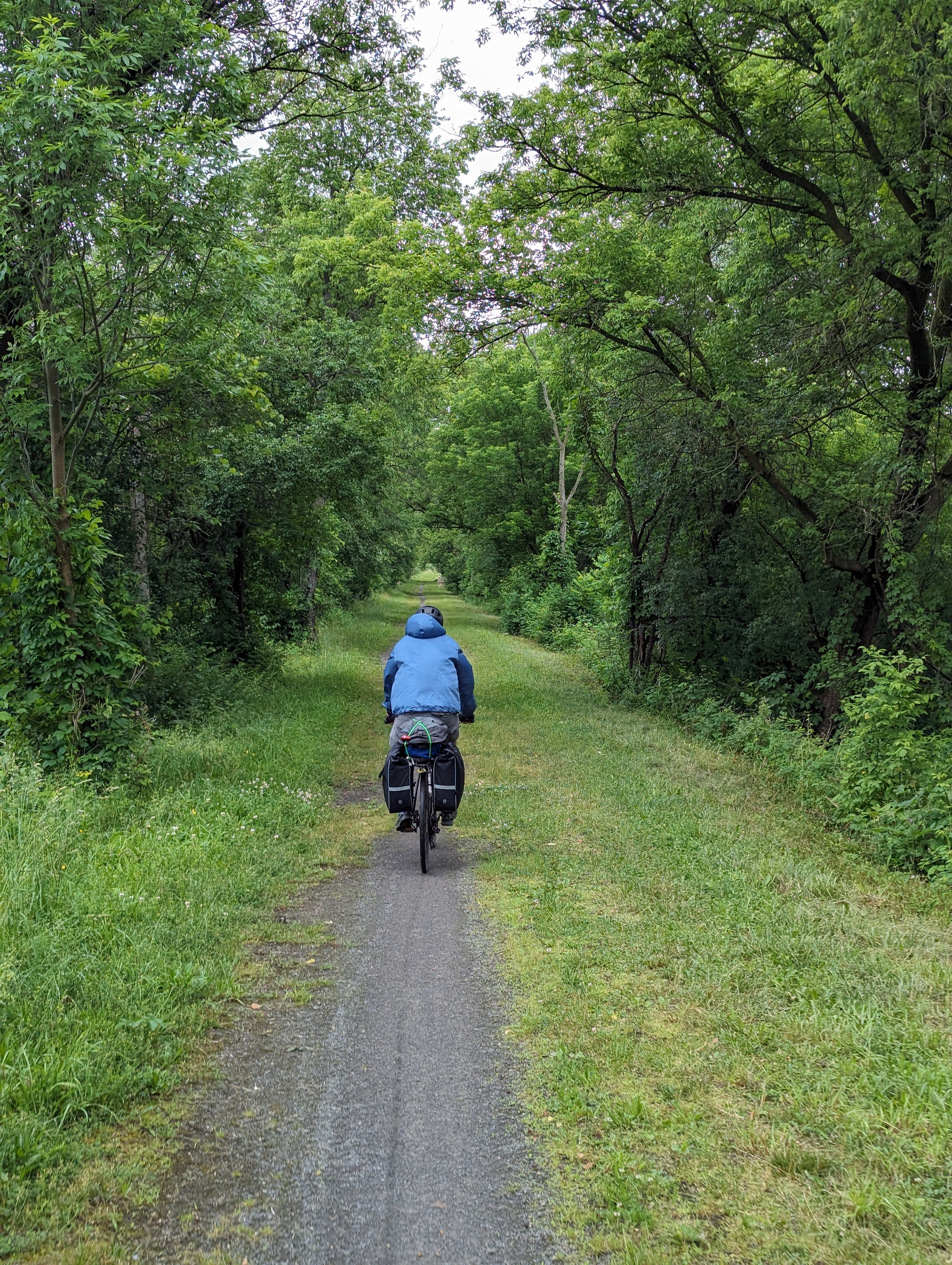 The canal was adjacent to the trail, but it was hard to tell in places since it was overgrown