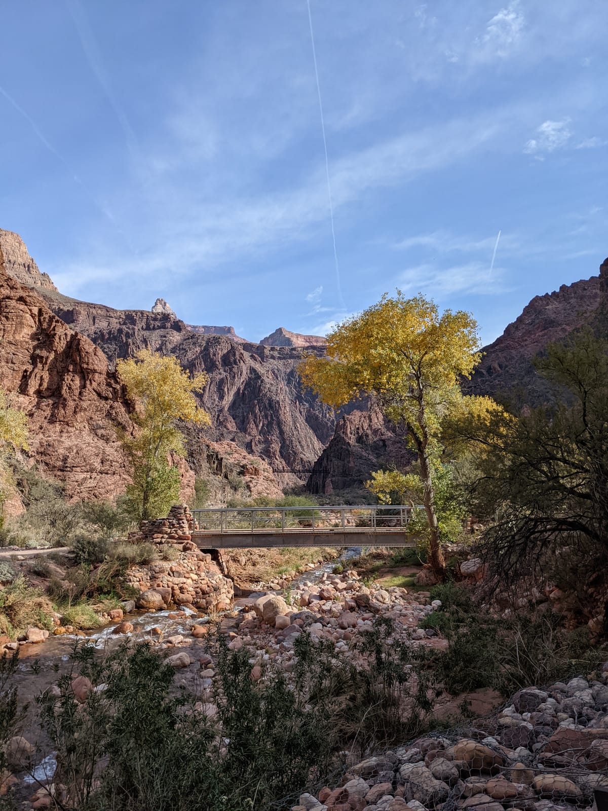 Footbridge over Bright Angel Creek near Phantom Ranch, framed by golden cottonwoods