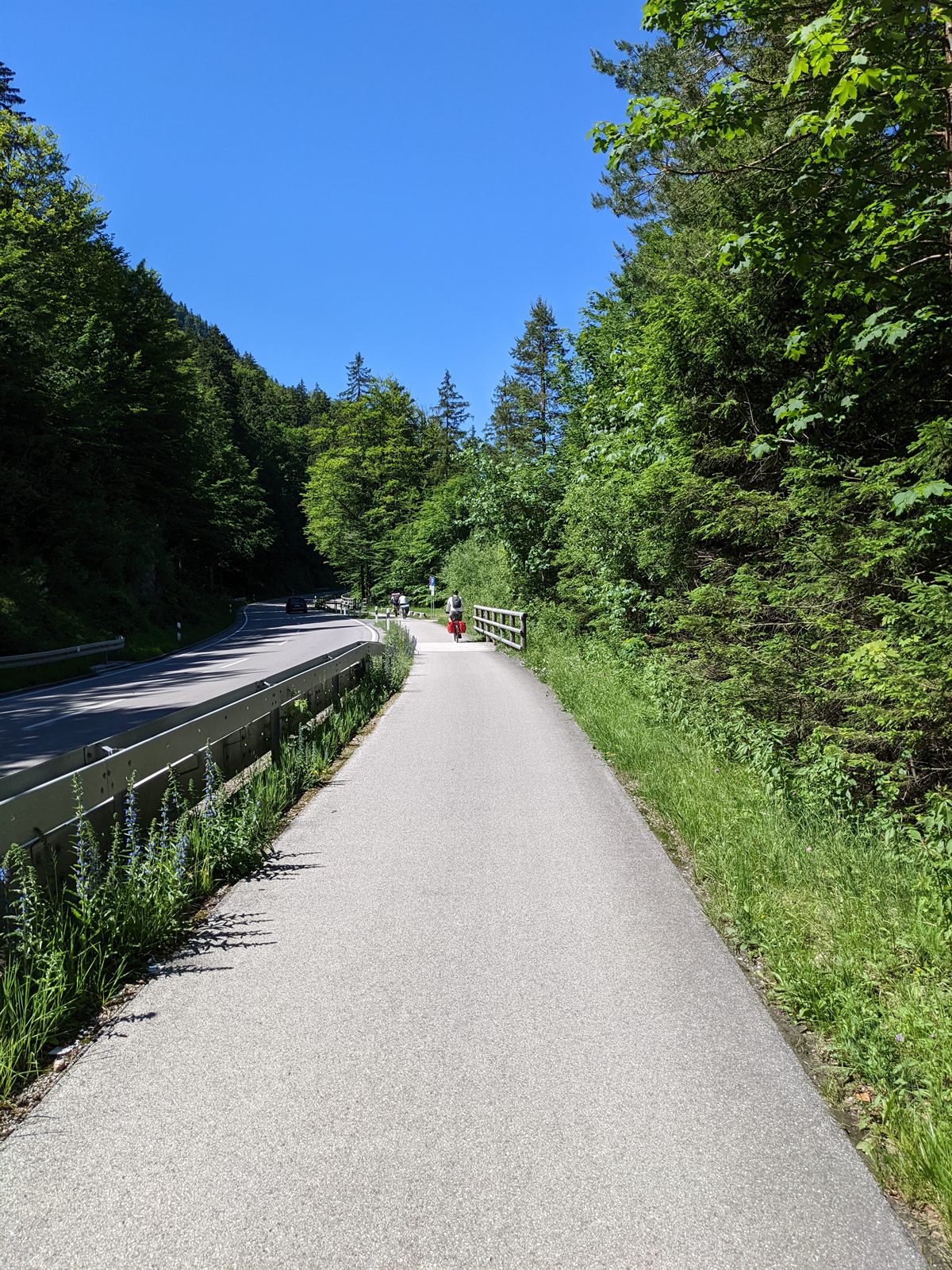 Bike path running alongside a road through forest, a loaded cyclist ahead