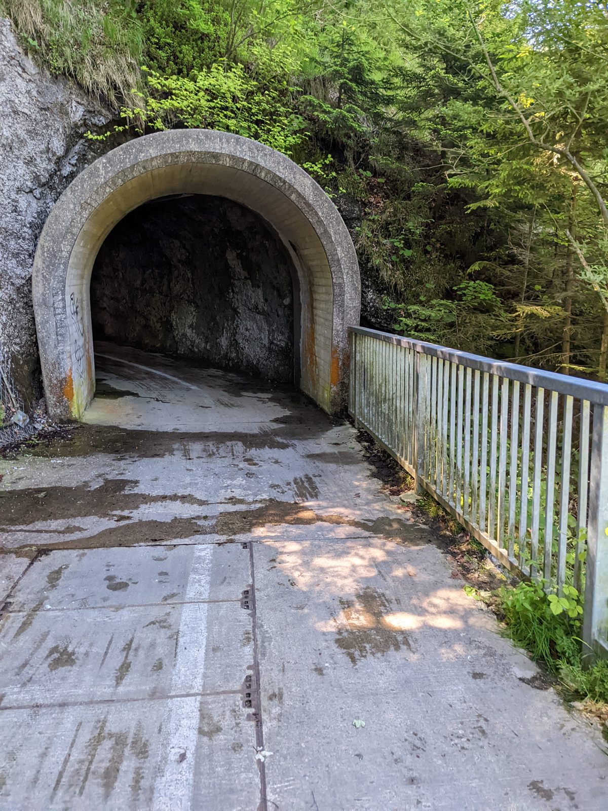 Old stone-arched tunnel cut through rock for the bike path, railing alongside