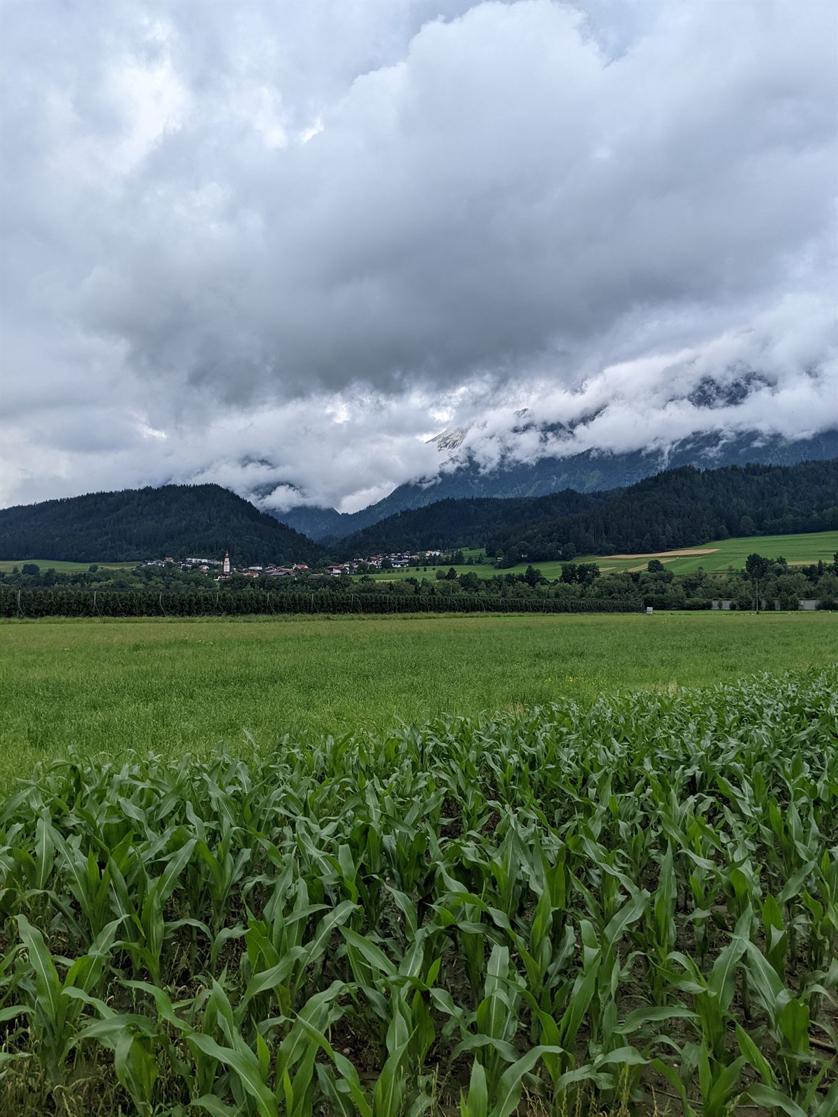 Green cornfield in the foreground, a village with a church spire across the valley, cloud breaking off the peaks behind