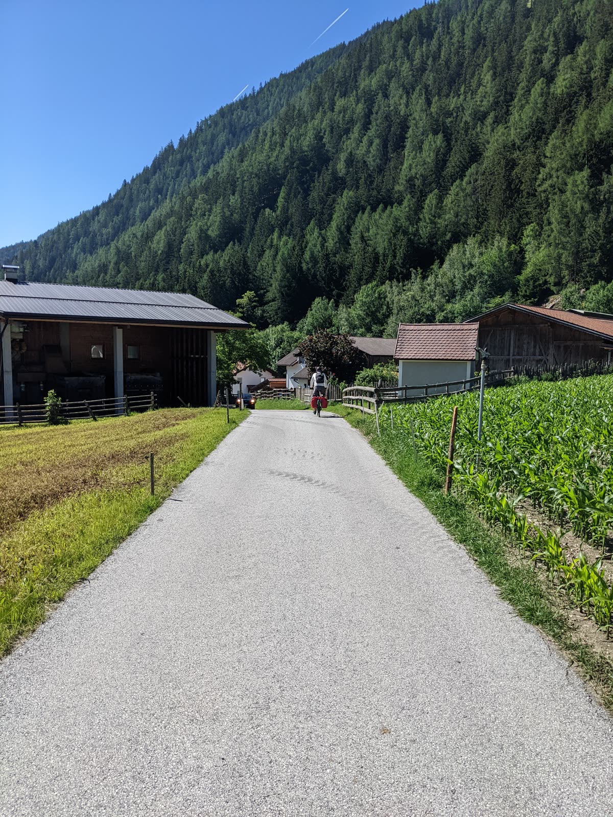 Narrow paved lane running between a hay meadow and a corn field past South Tyrolean farm buildings, a loaded cyclist ahead, forested mountain above