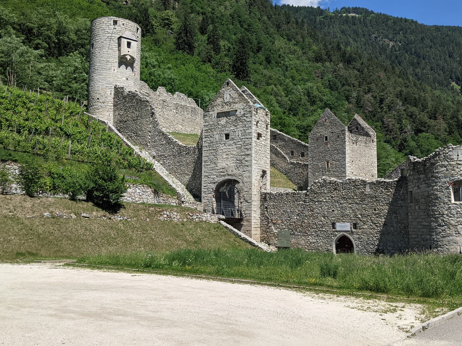 Ruined medieval fortification of river stone with a round tower, gate tower and walls stepping up a vineyard slope