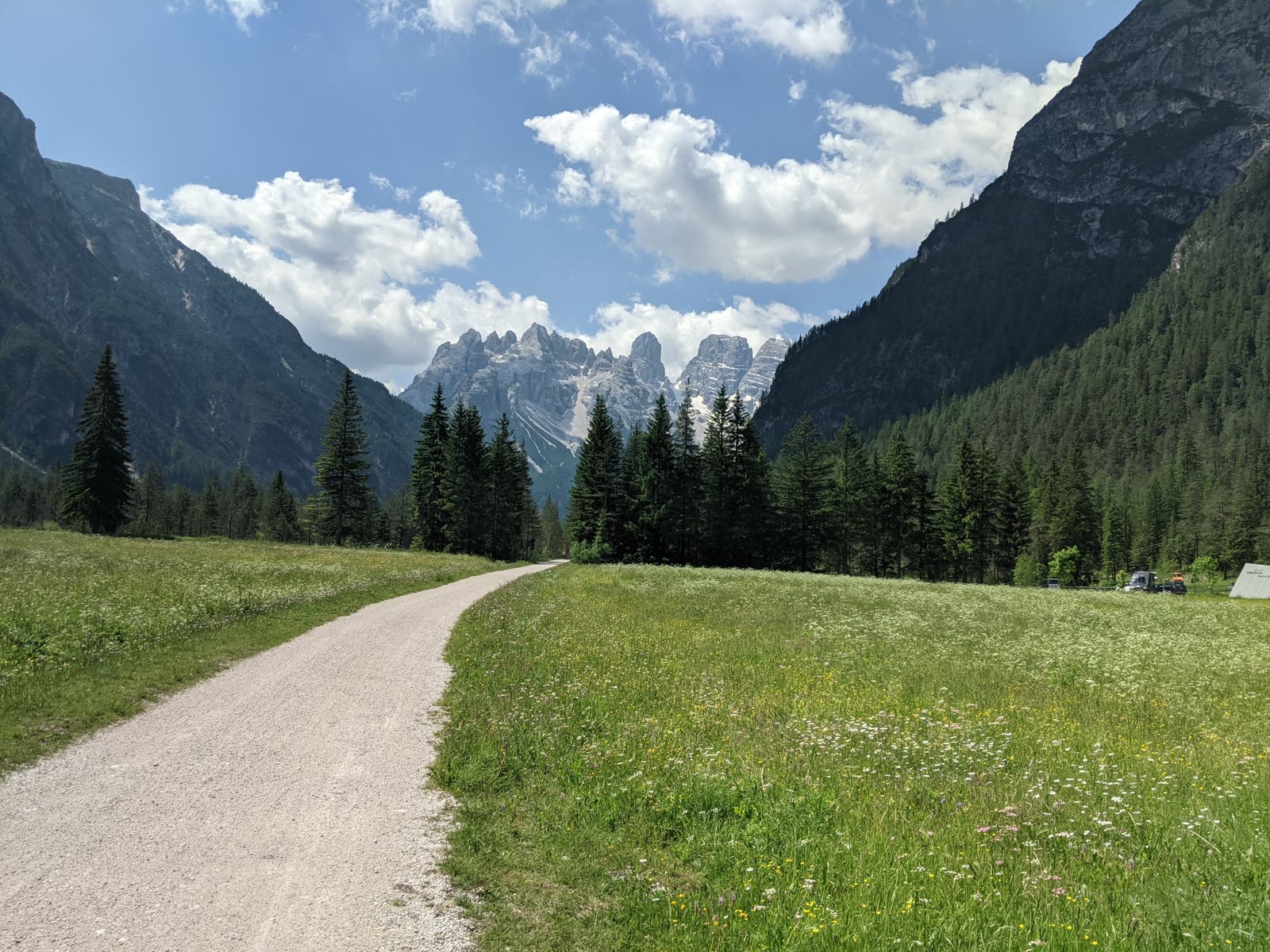 Straight gravel cycle path running through a wide green wildflower meadow toward a wall of jagged pale Dolomite peaks under towering clouds