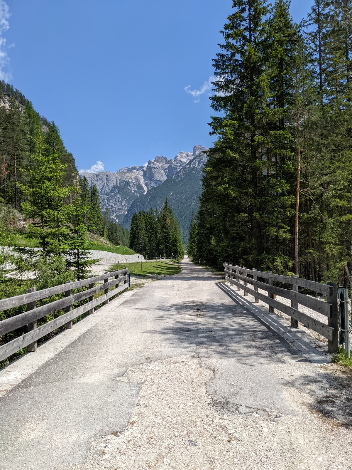 Paved former railway bed with old wooden bridge railings running straight toward a pale grey Dolomite ridge, spruce forest on both sides