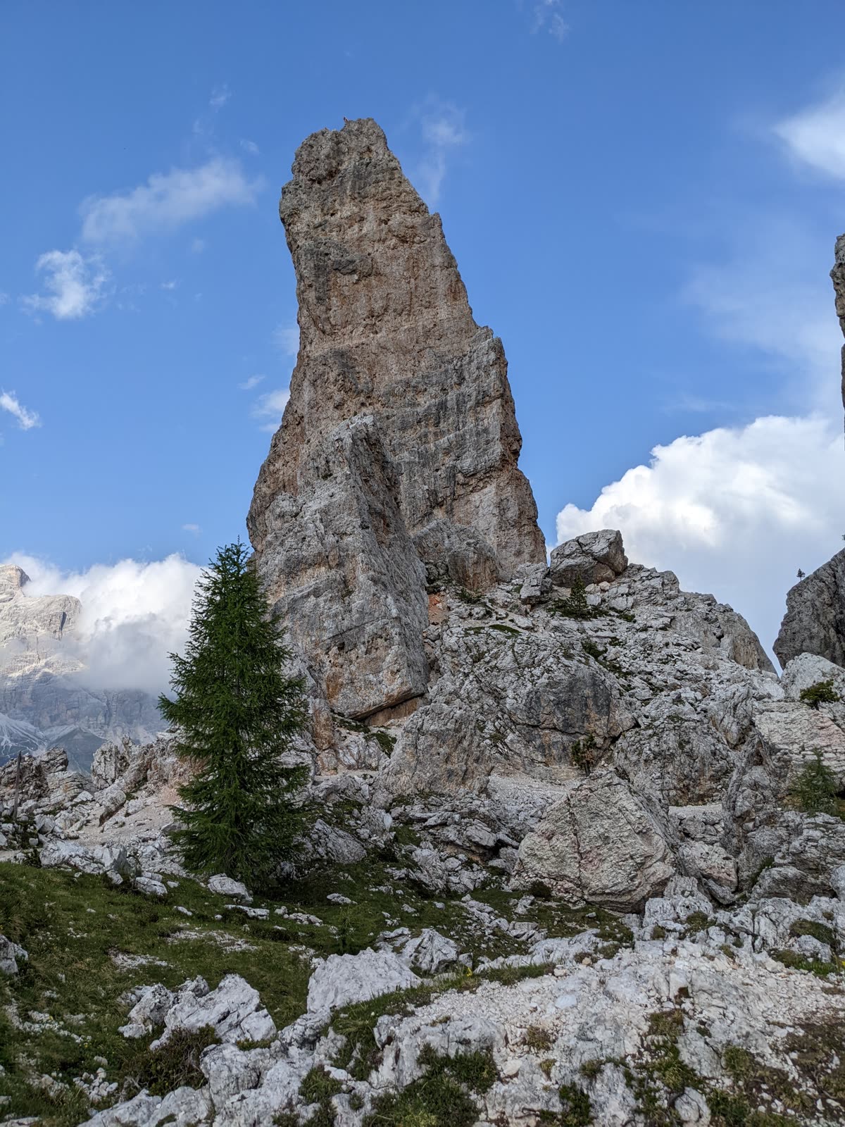 A single tall pale rock spire of the Cinque Torri against blue sky, a lone green larch tree standing at its foot