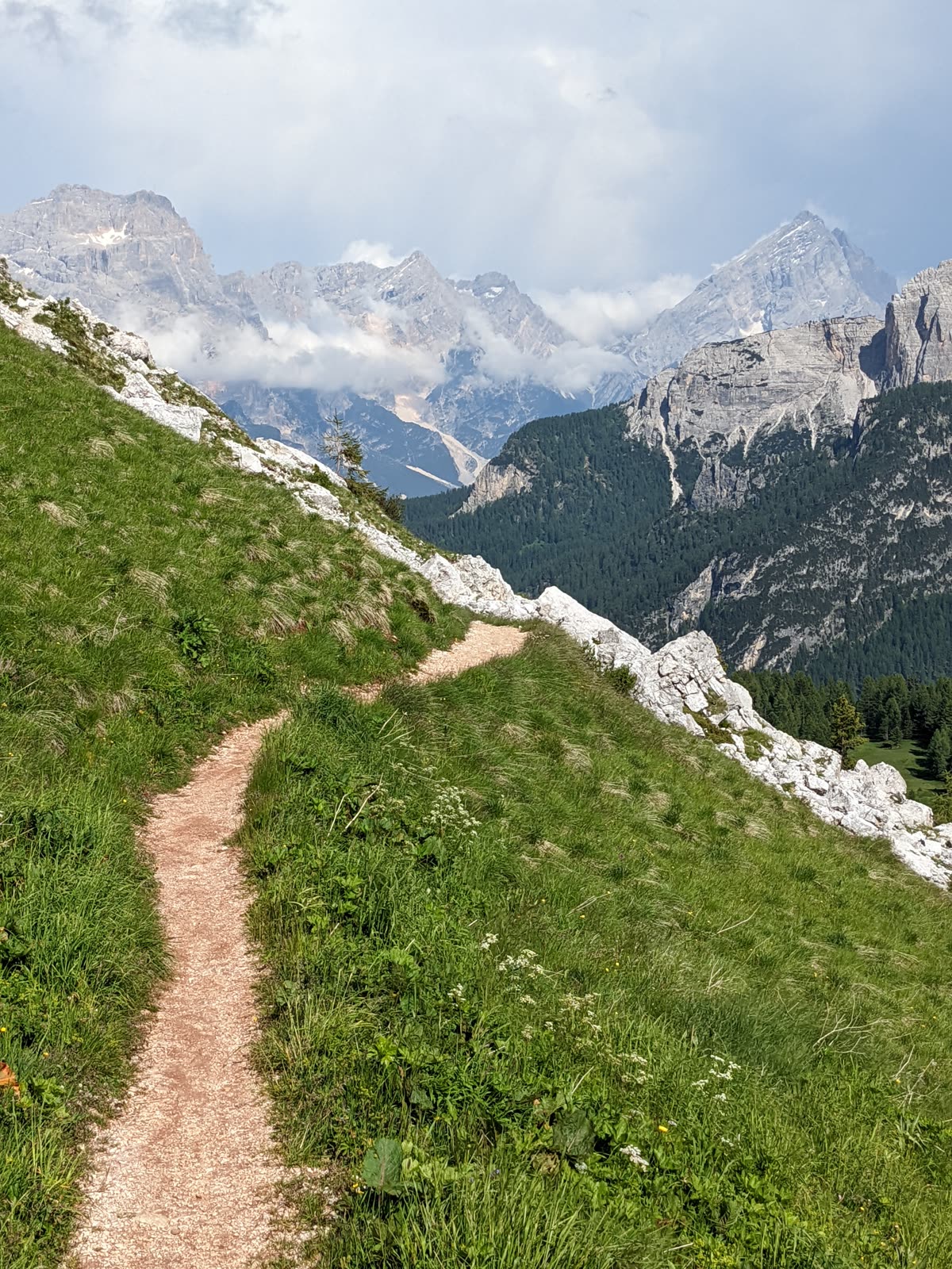 A footpath curving away through high green alpine grass on the Cinque Torri shoulder, jagged Dolomite peaks stacked up on the horizon