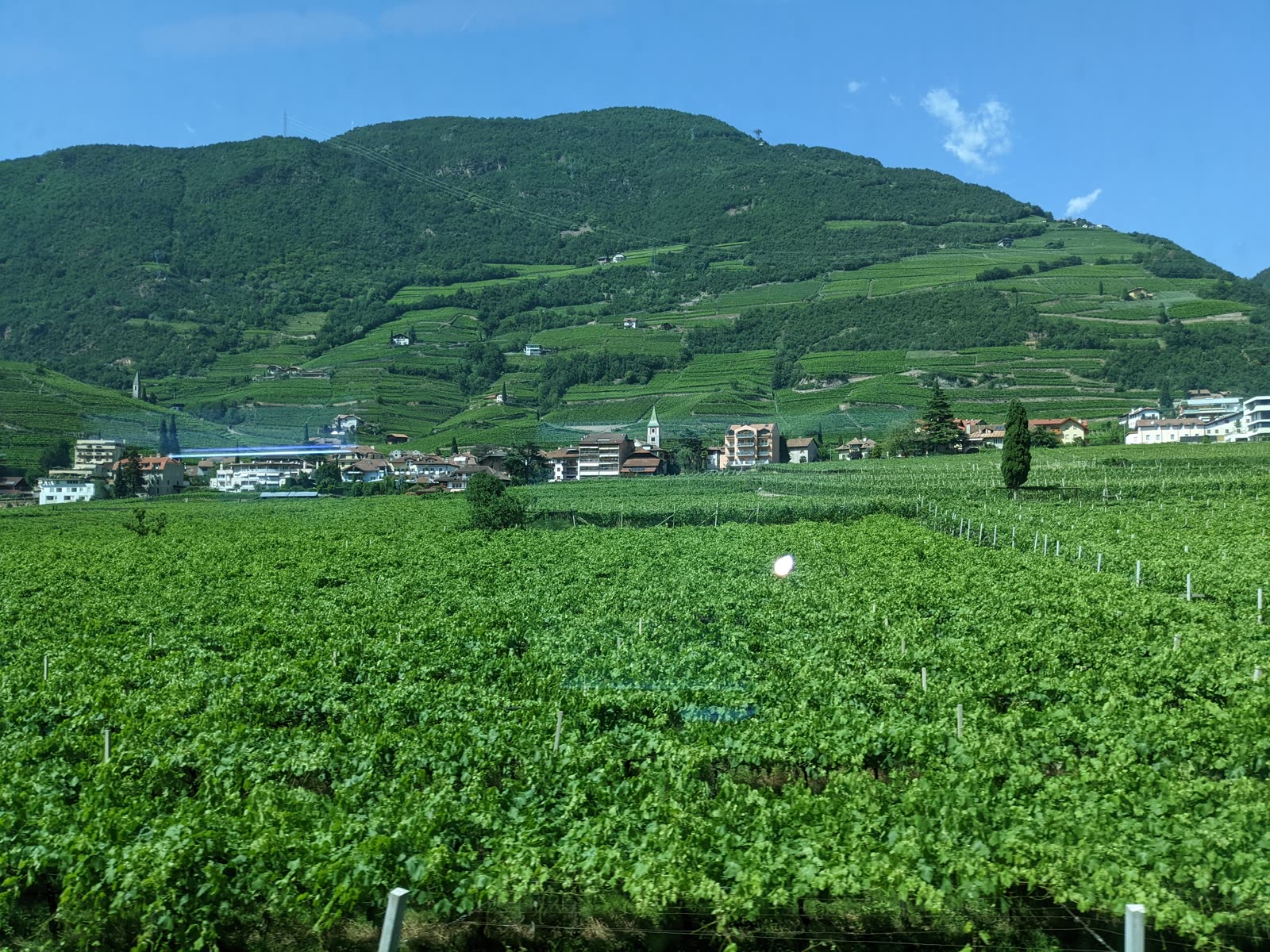 View from a train window of a lush green South Tyrol valley, steep hillsides covered in terraced vineyards rising to a forested mountain, a village with a church tower tucked among the vines under a bright blue sky