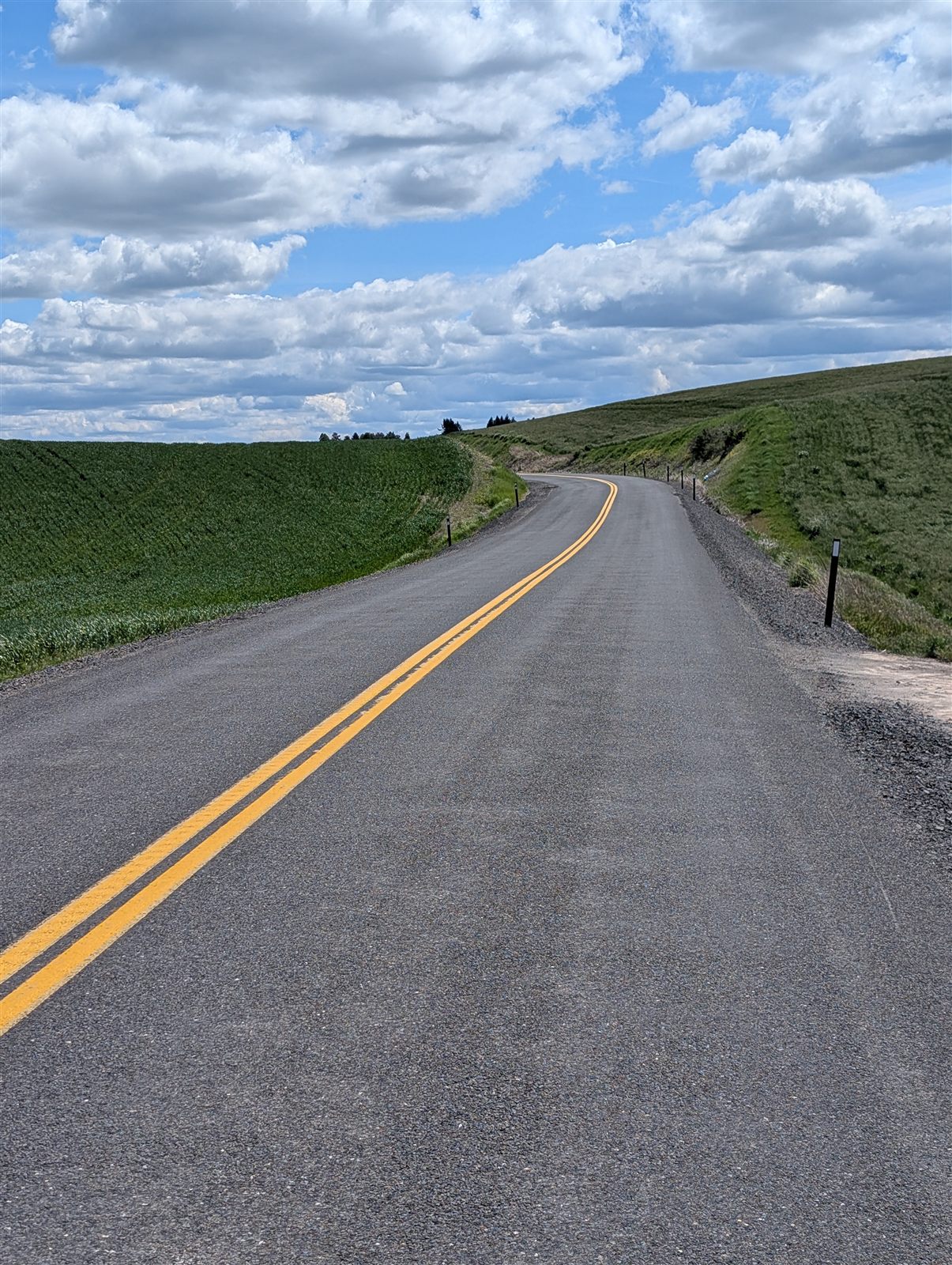 Green Palouse back roads