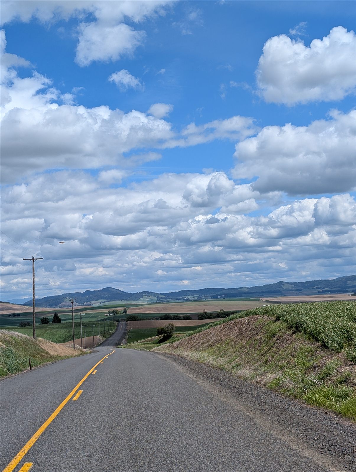 Big sky over the Palouse