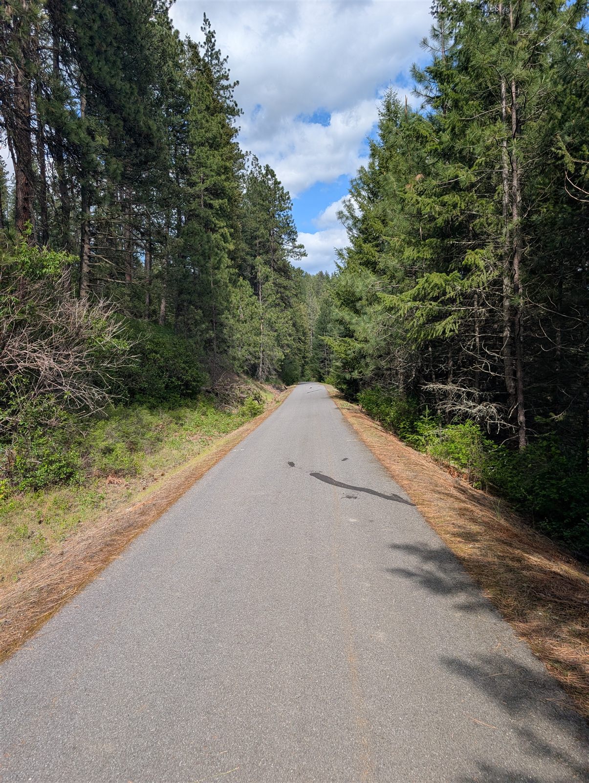 The rail trail rolling downhill
