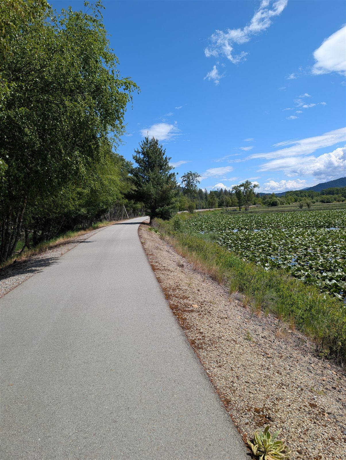 Trail approaching Cataldo