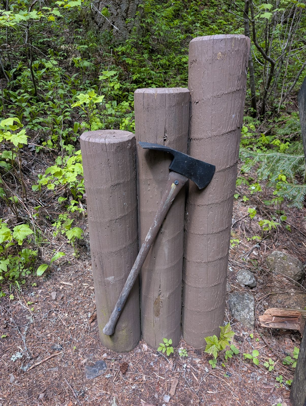 A pulaski tool mounted along the trail