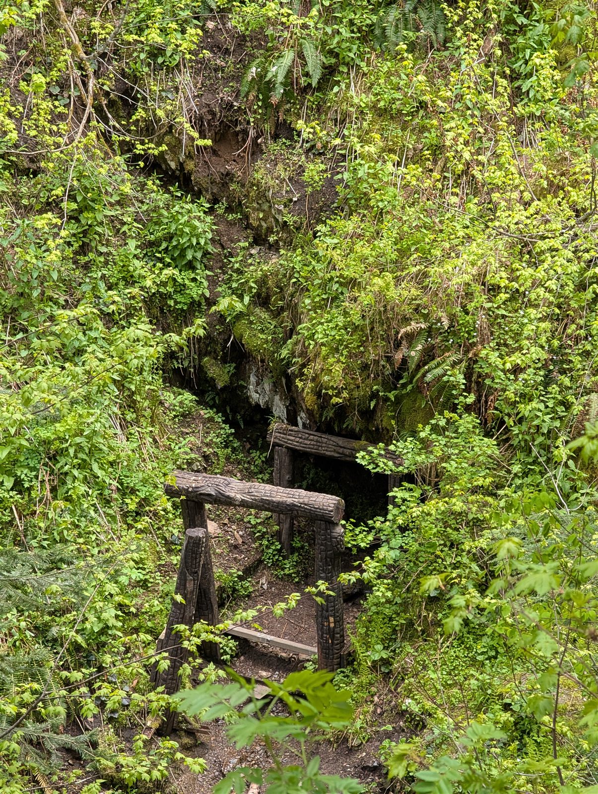 Old mine portal along Placer Creek
