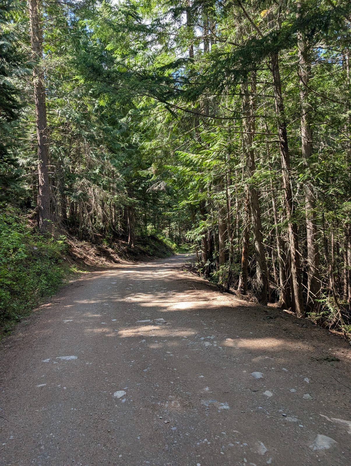 The last of the Coeur d'Alenes trail near Mullan
