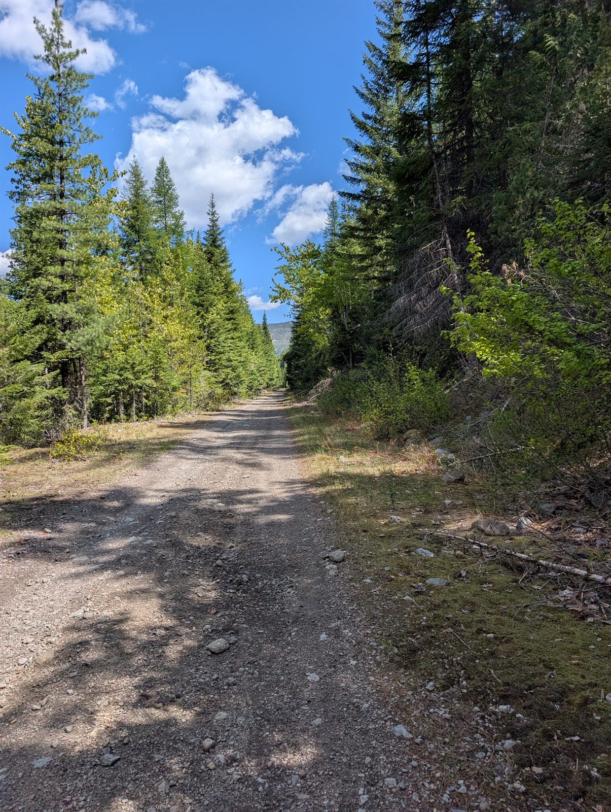 Steep gravel shortcut climbing toward the NorPac Trail