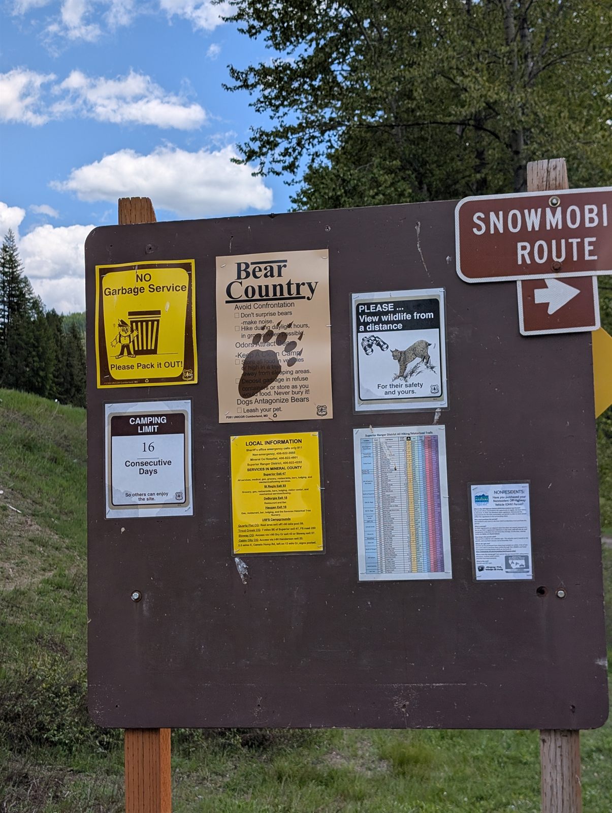 Forested gravel rail trail in Montana
