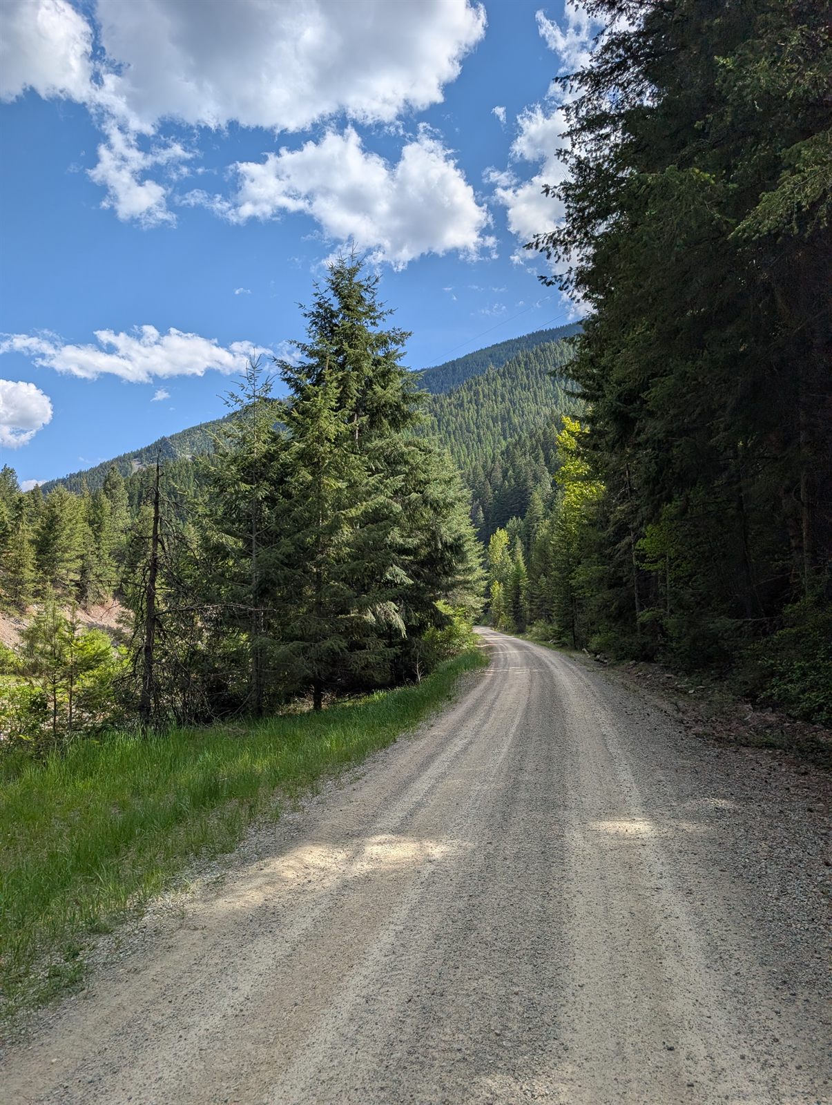 Scenic forested trail high above the valley