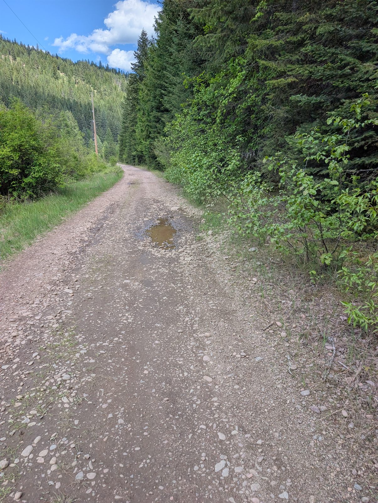 Wooded trail descending toward St. Regis