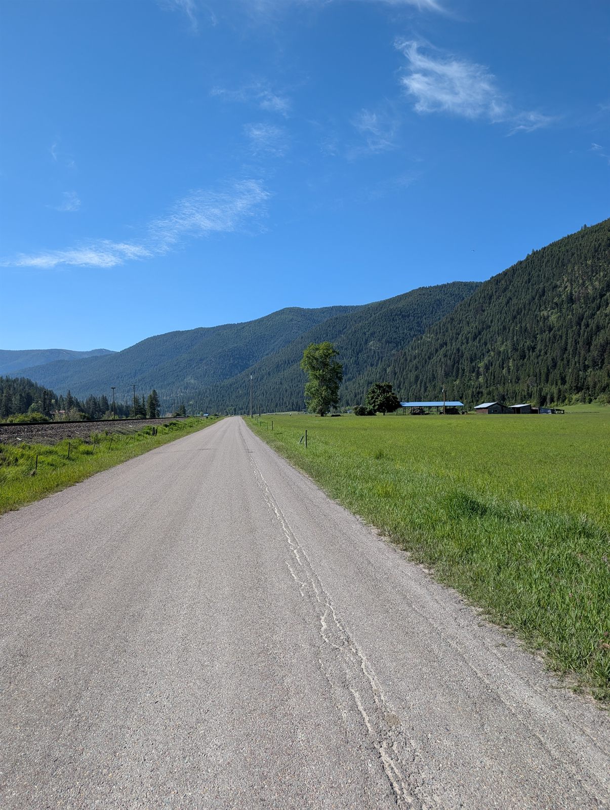 Gravel road climbing out of St. Regis, Montana