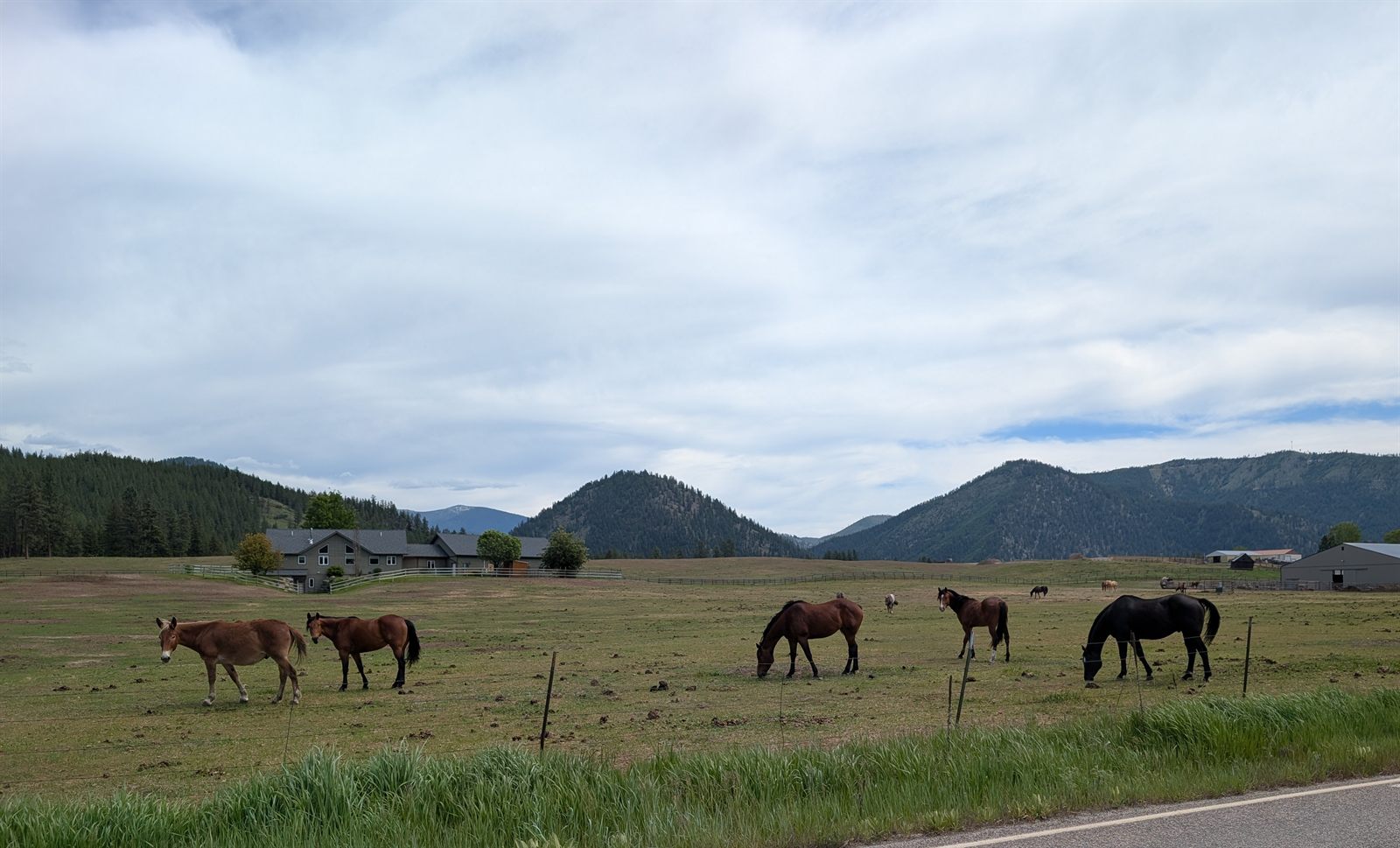 Wide Clark Fork valley in Montana